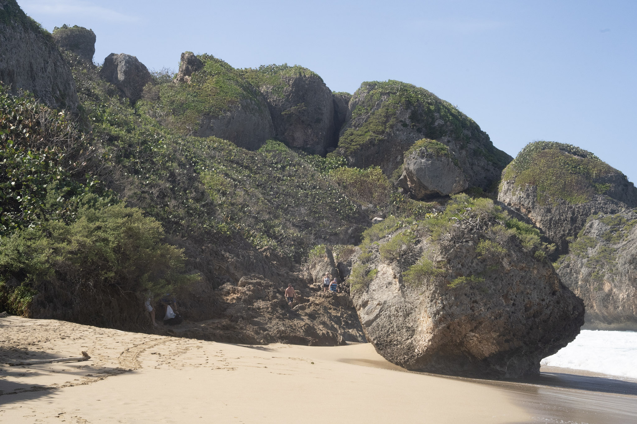 Survivor Beach - foto 188