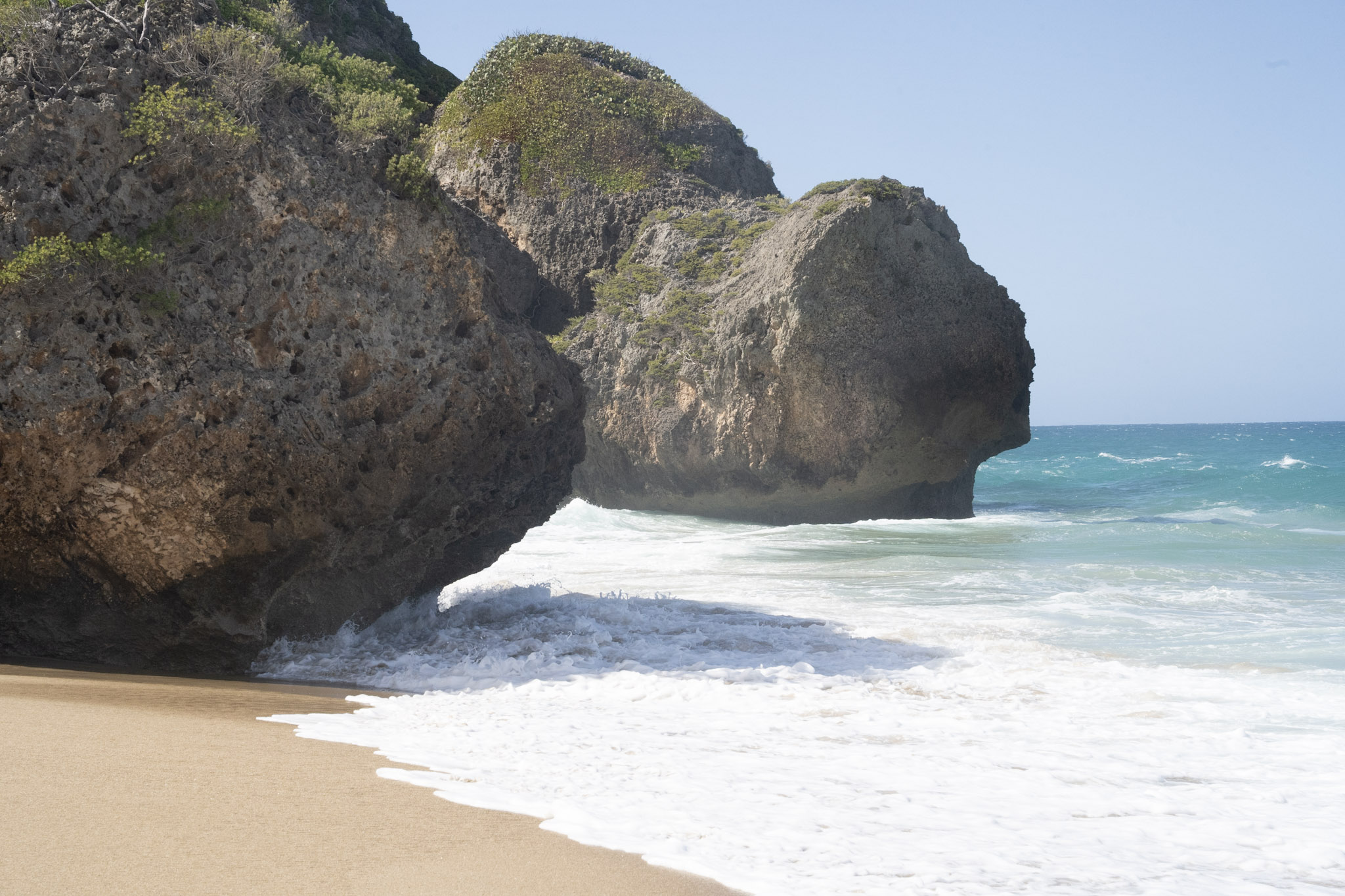 Survivor Beach - foto 193