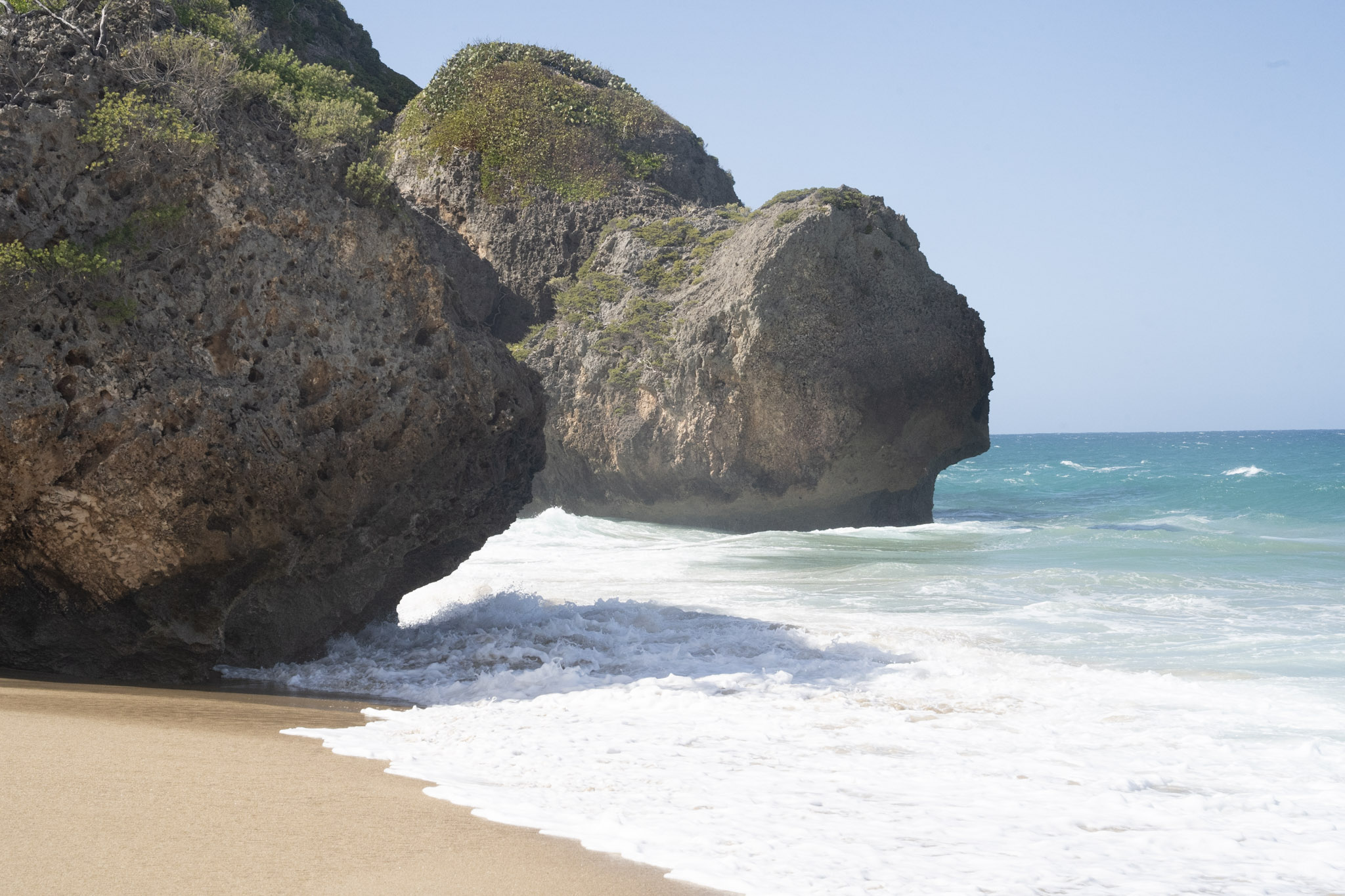 Survivor Beach - foto 194