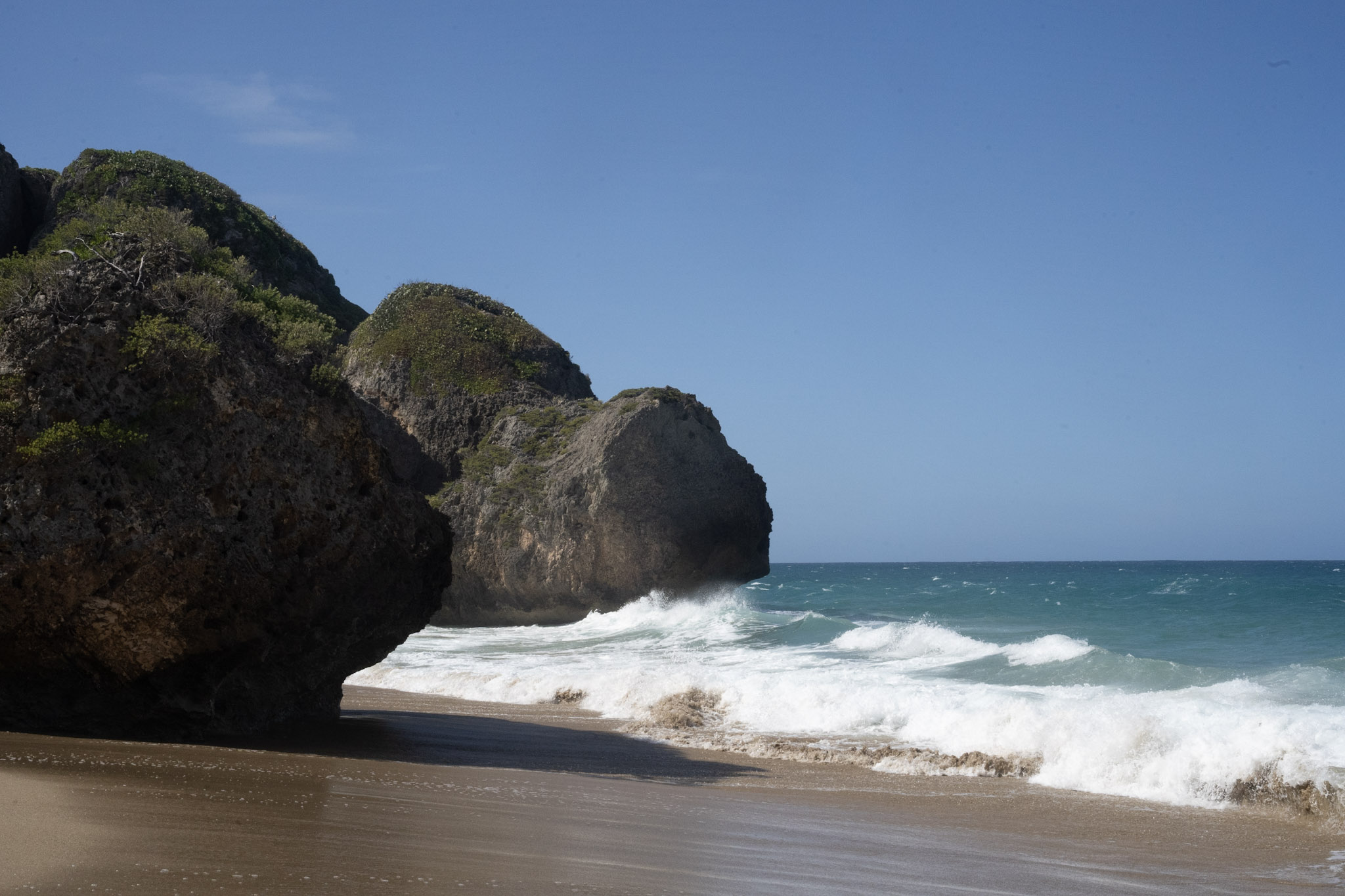 Survivor Beach - foto 197