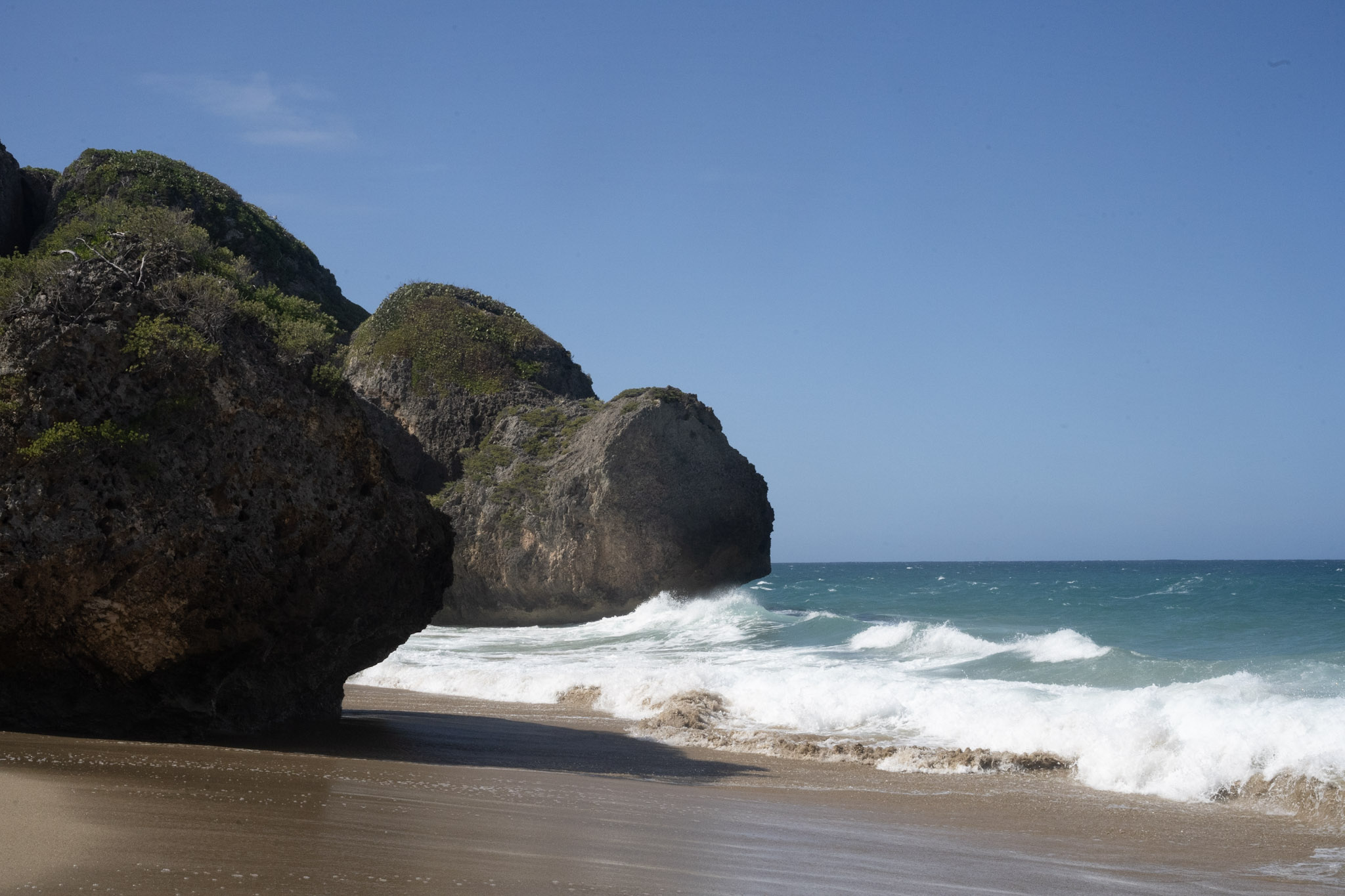 Survivor Beach - foto 198