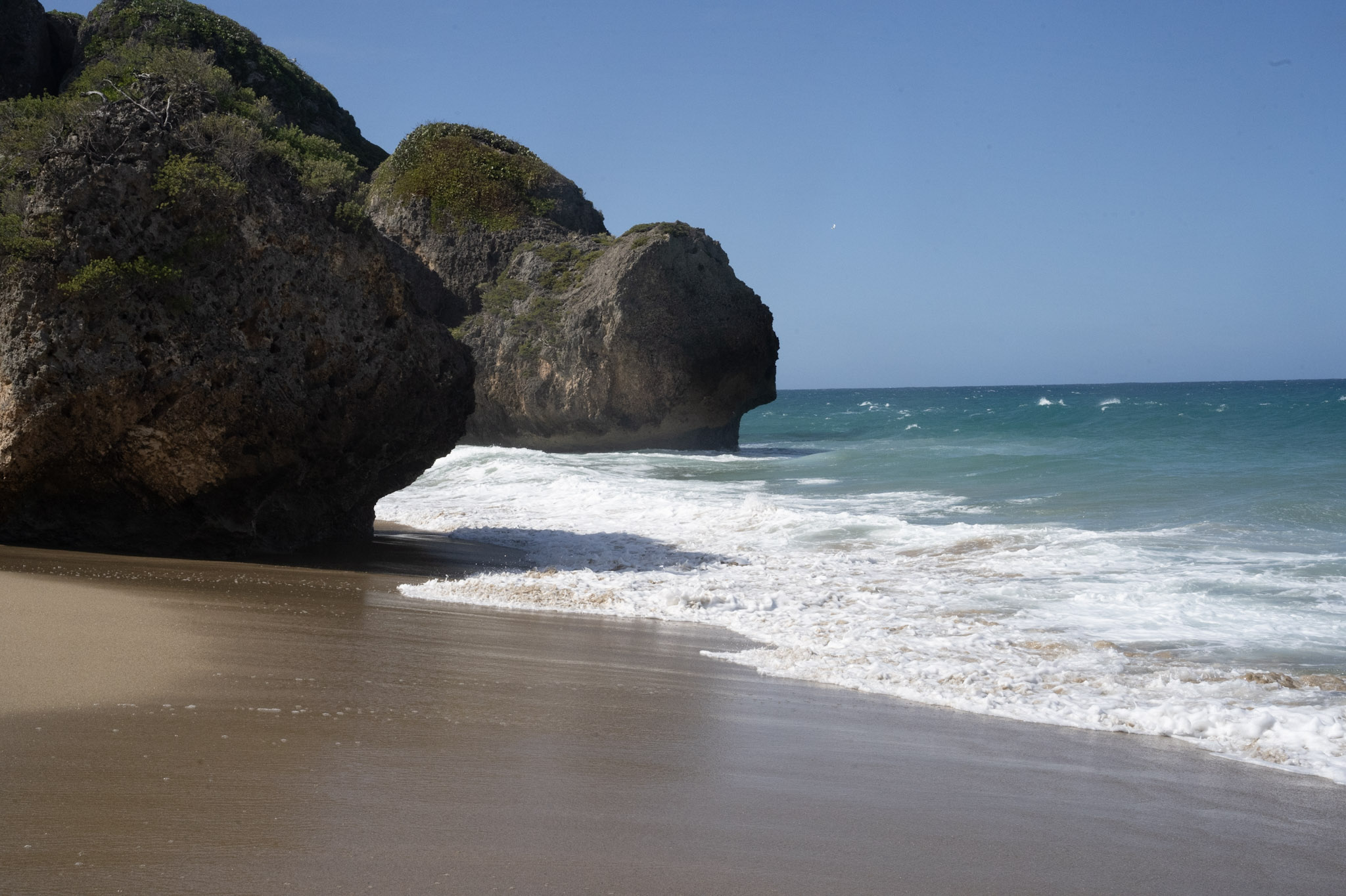 Survivor Beach - foto 199