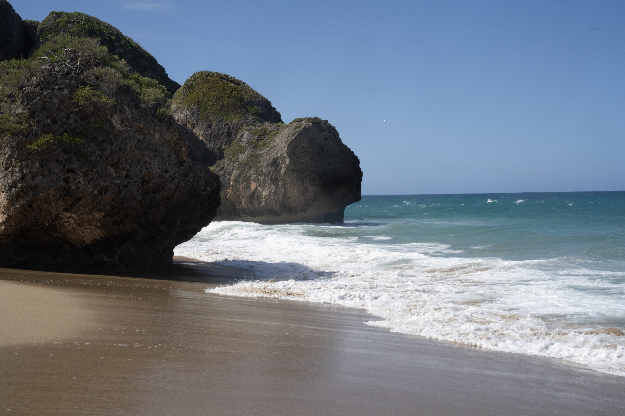Survivor Beach - foto 200