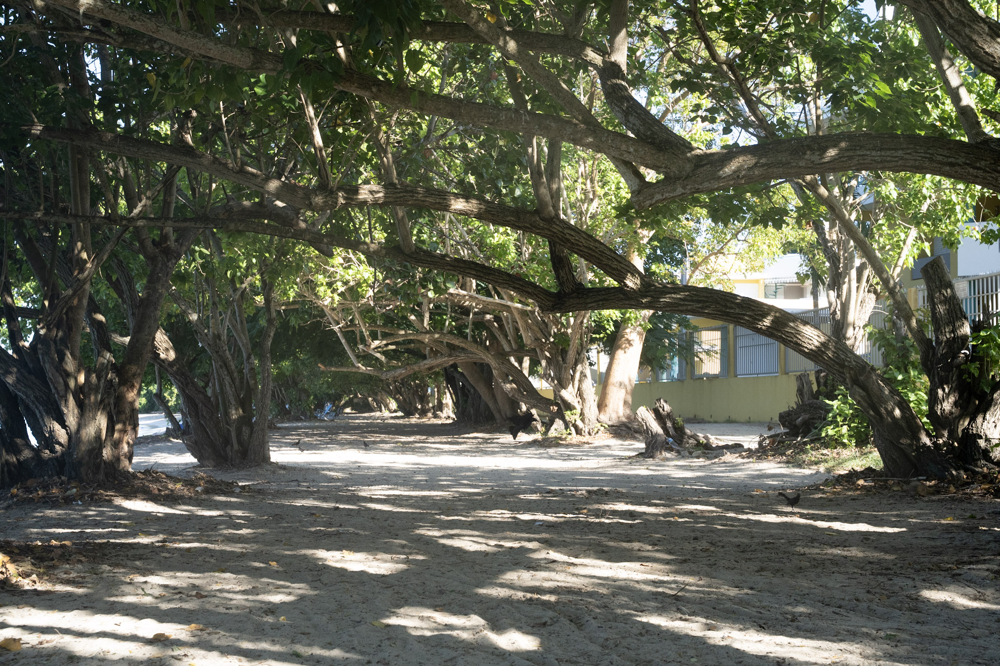 2022-12-29_Buye - foto 7