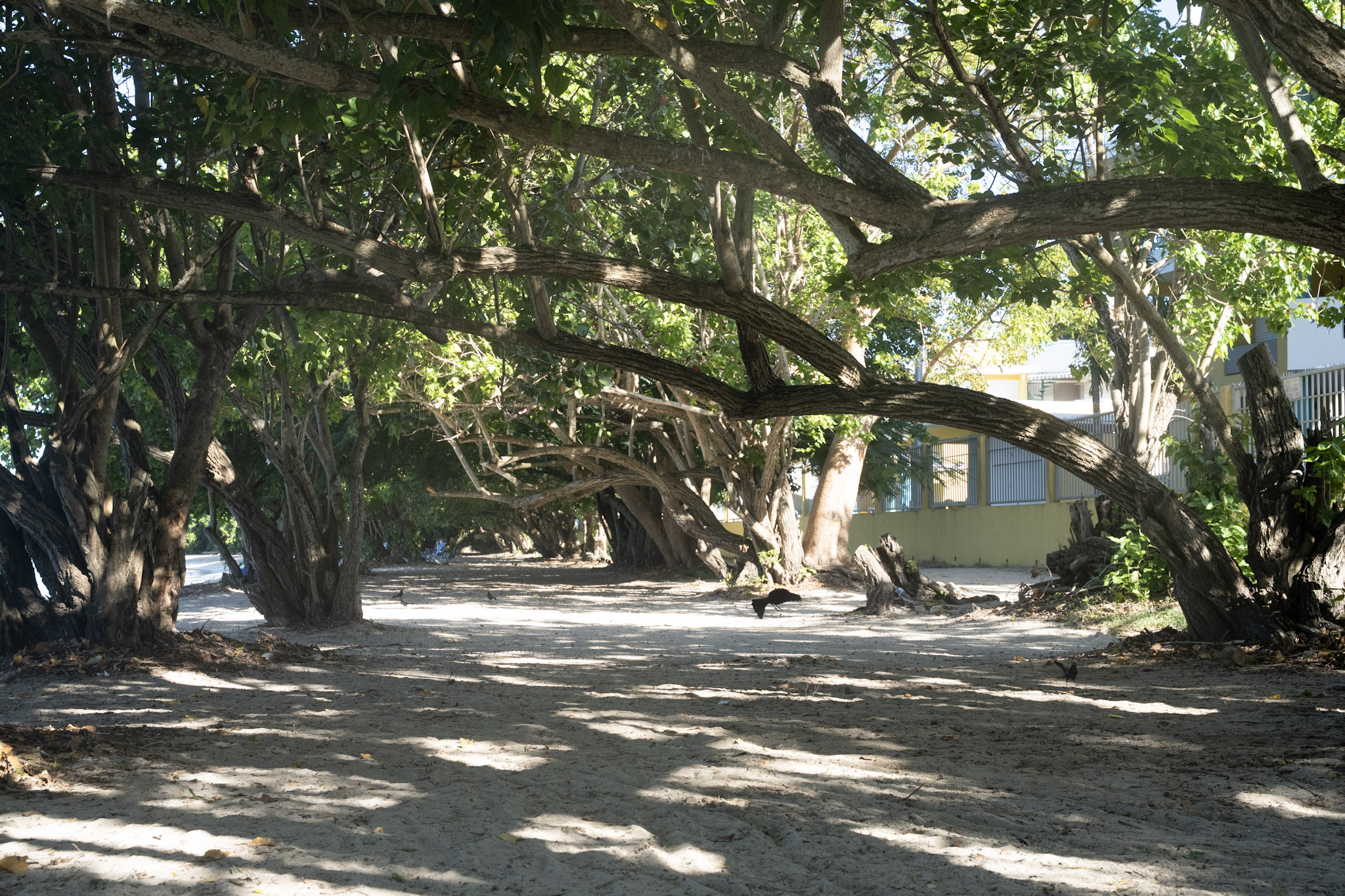 2022-12-29_Buye - foto 8