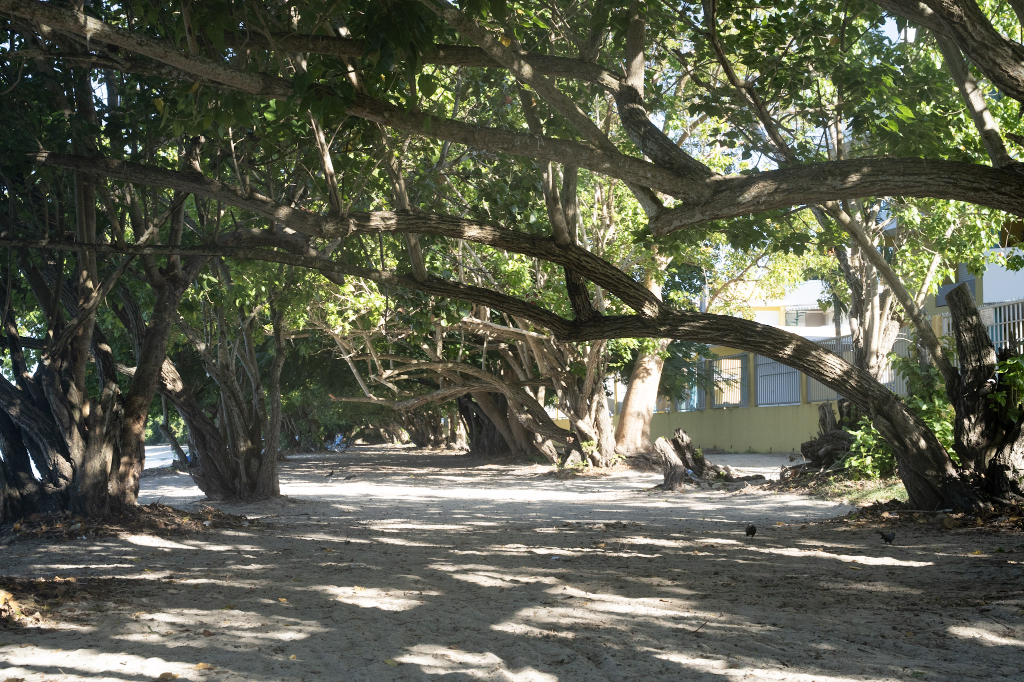 2022-12-29_Buye - foto 12