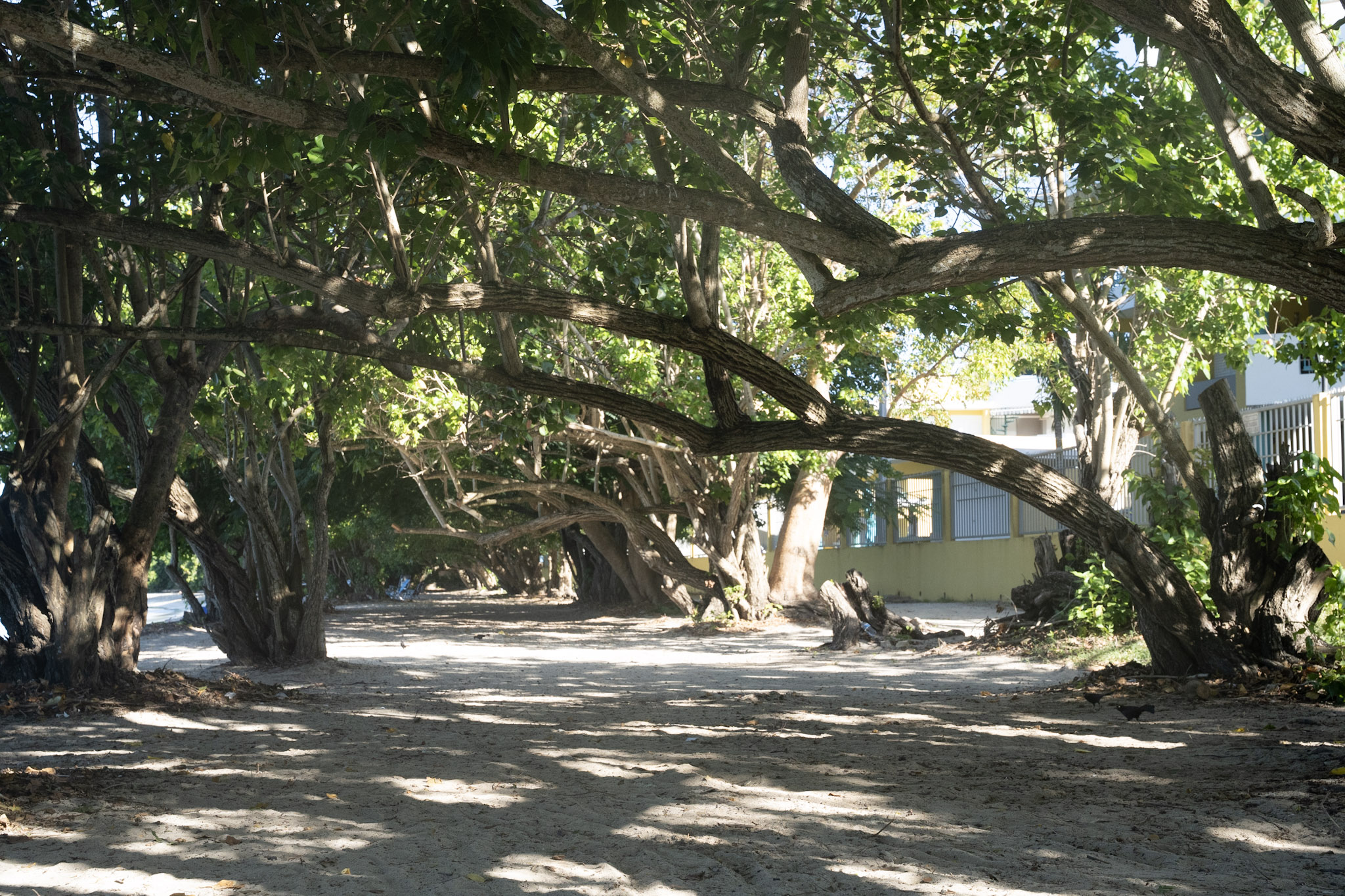 2022-12-29_Buye - foto 16