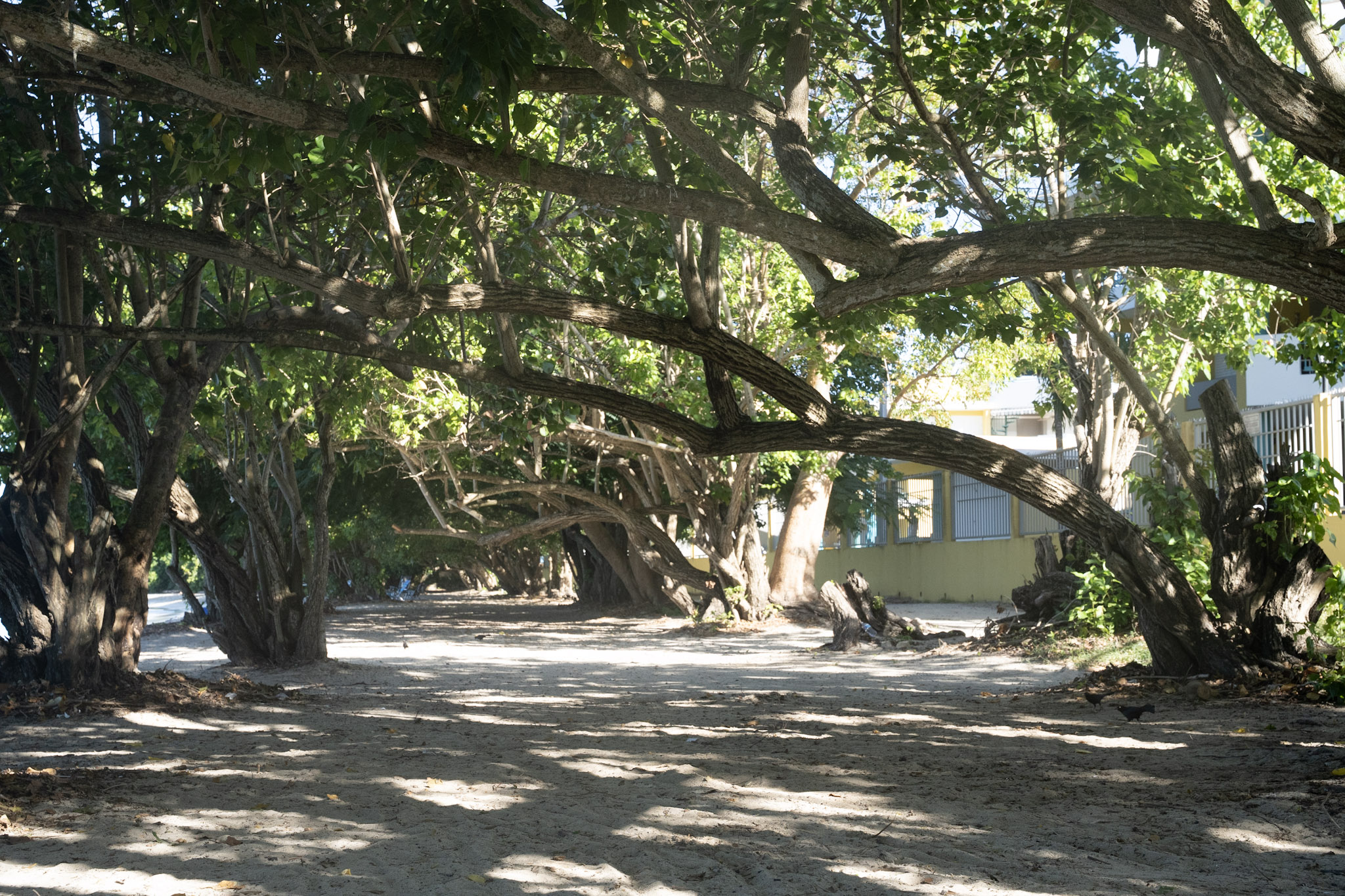 2022-12-29_Buye - foto 17