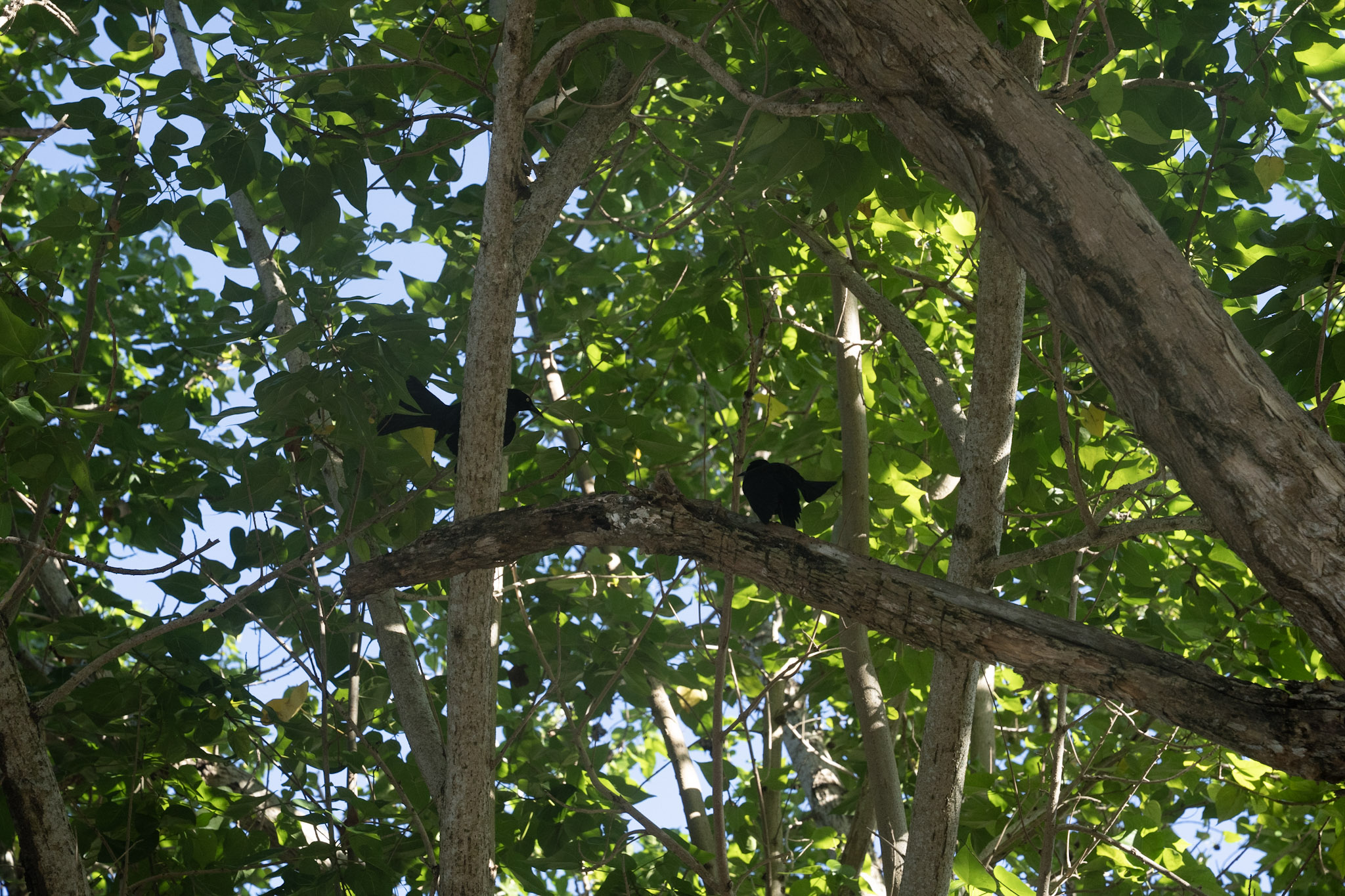 2022-12-29_Buye - foto 18