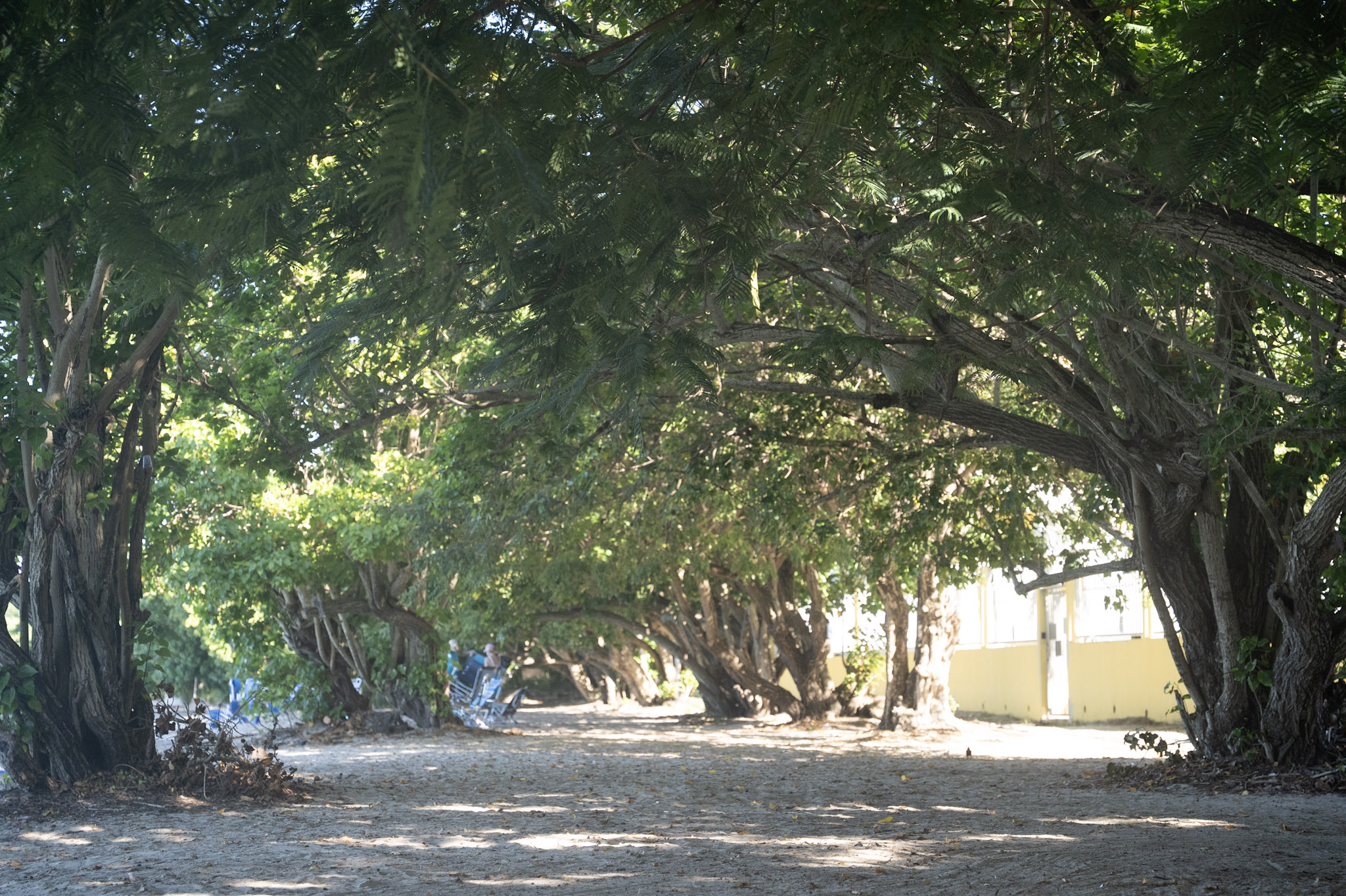 2022-12-29_Buye - foto 22