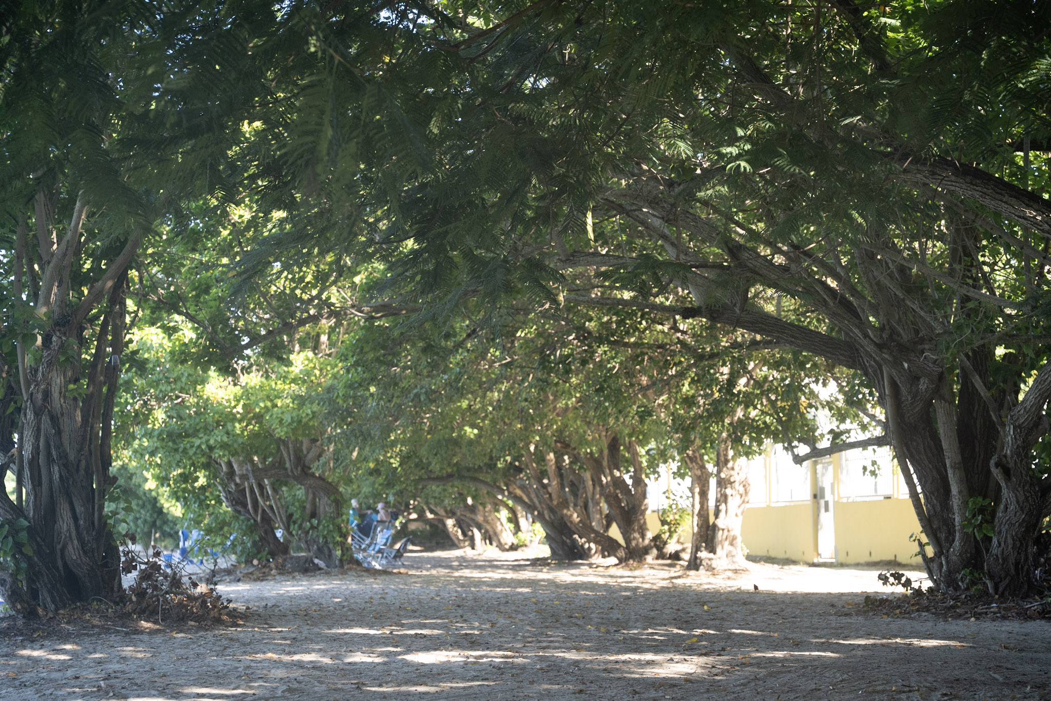 2022-12-29_Buye - foto 23