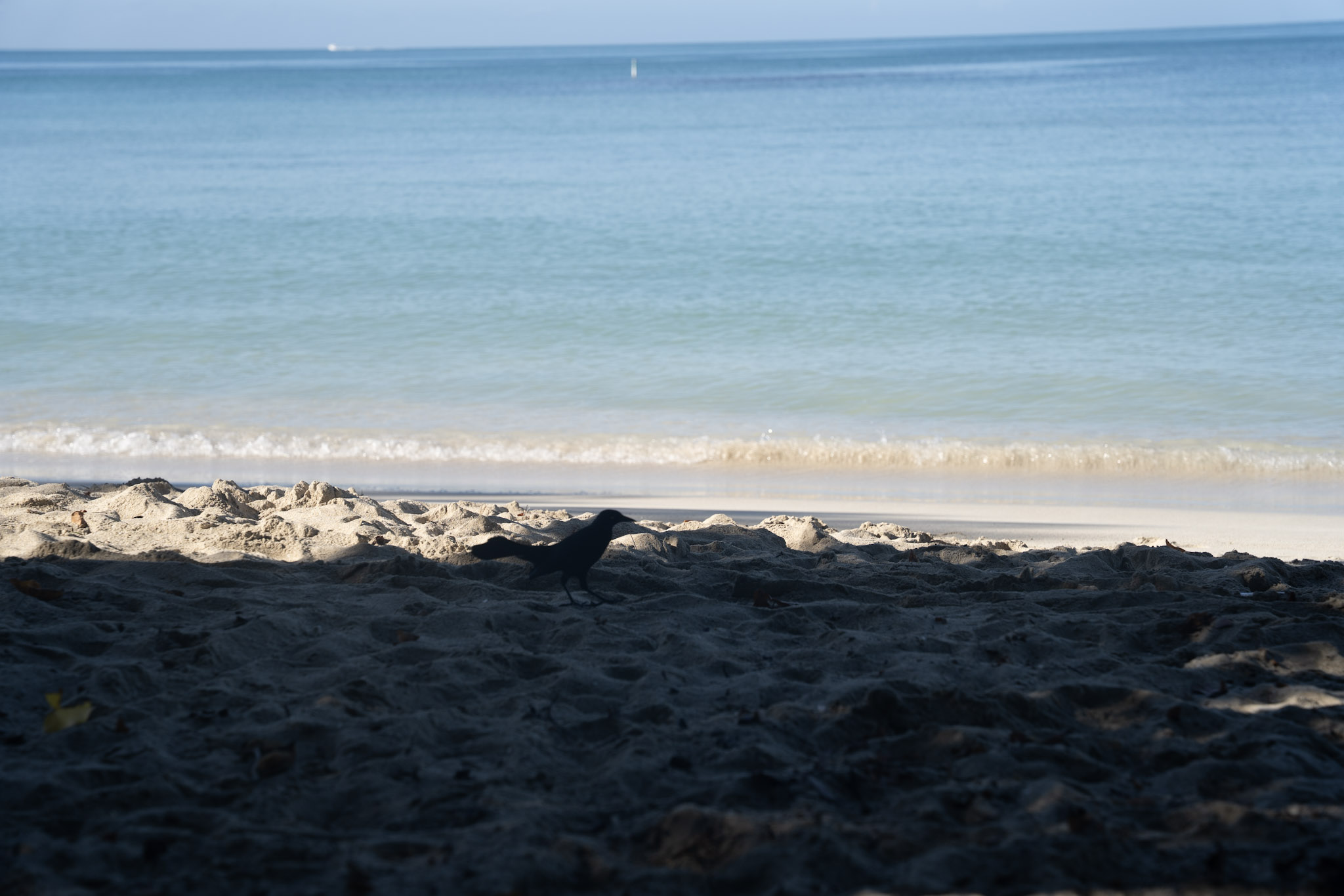 2022-12-29_Buye - foto 42