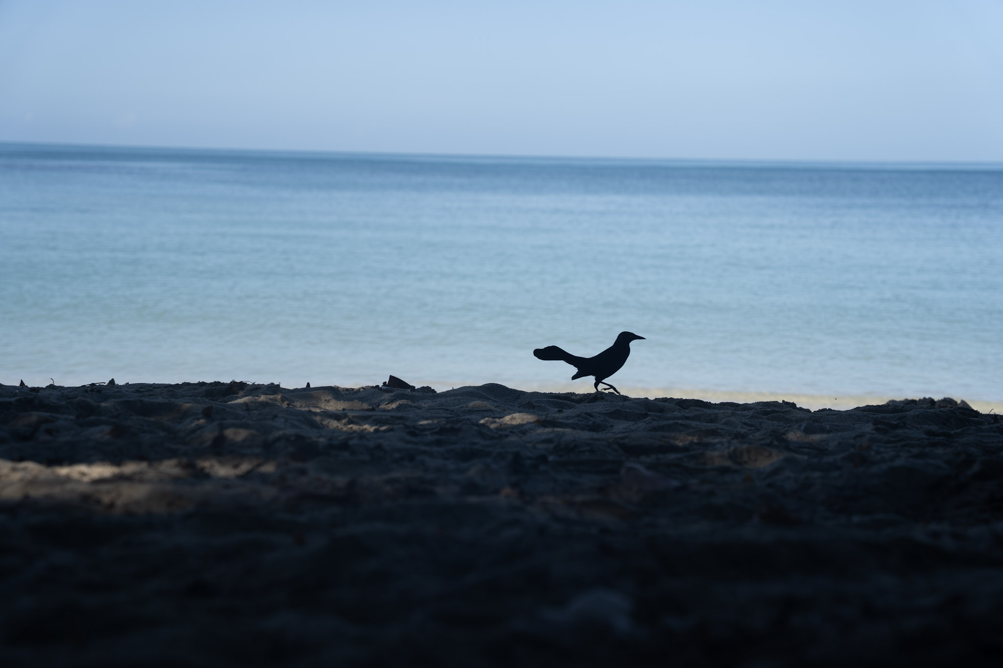 2022-12-29_Buye - foto 43