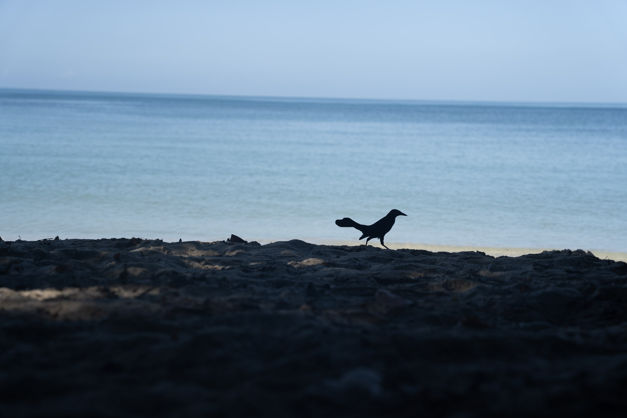 2022-12-29_Buye - foto 44