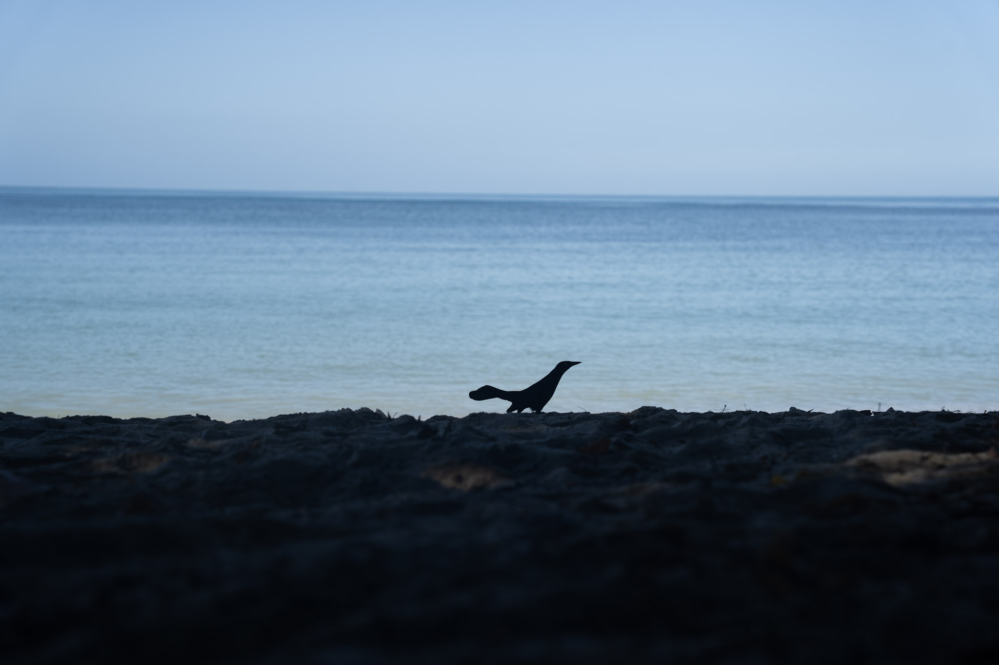 2022-12-29_Buye - foto 45