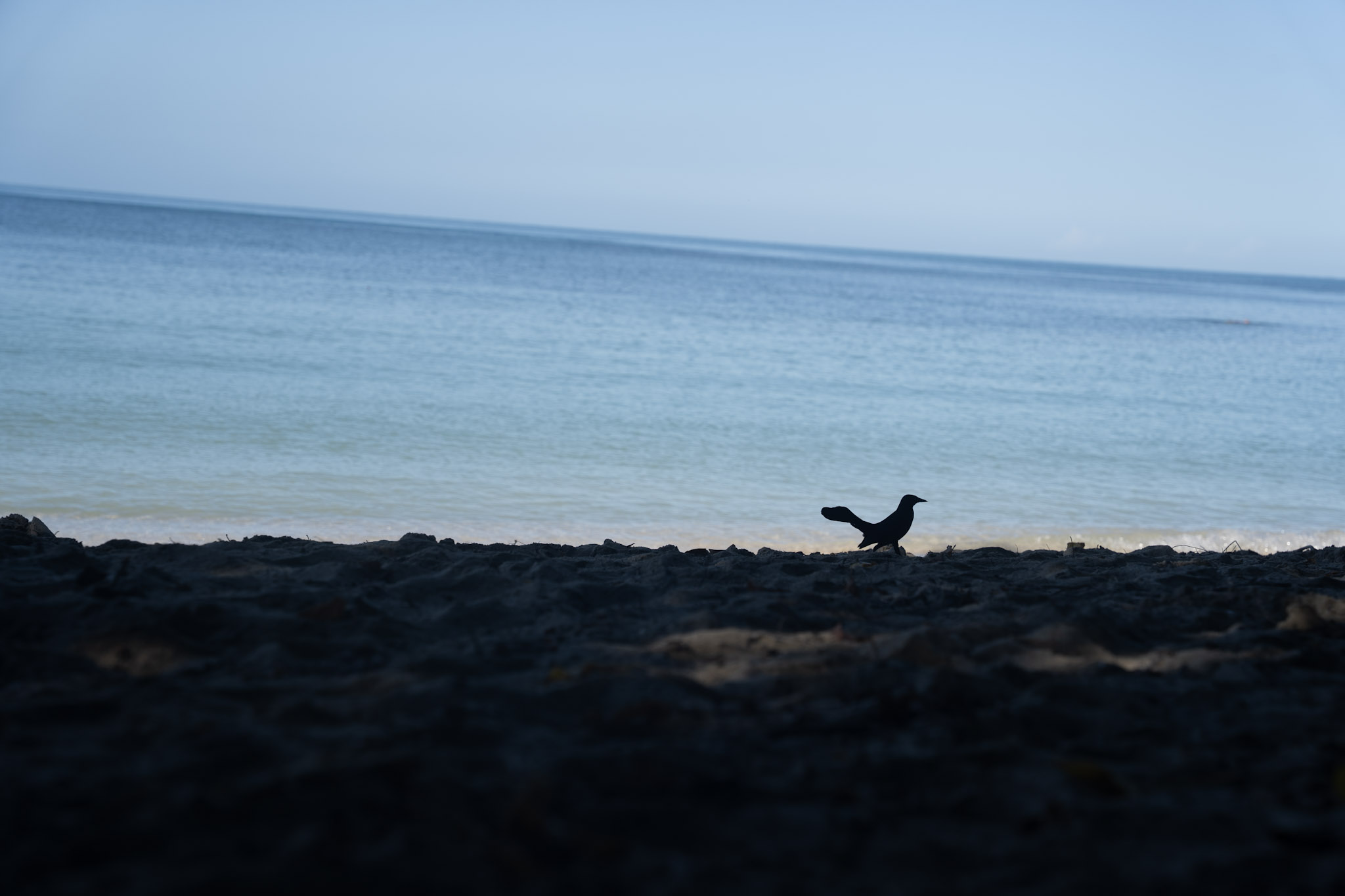 2022-12-29_Buye - foto 46