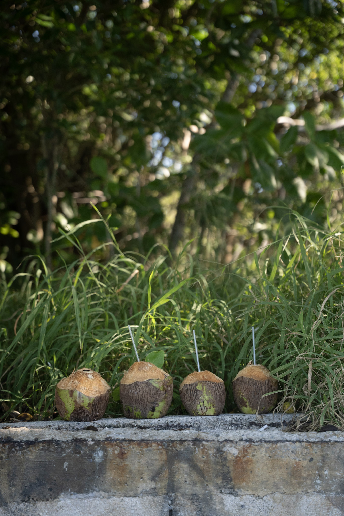 2022-12-29_Buye - foto 57