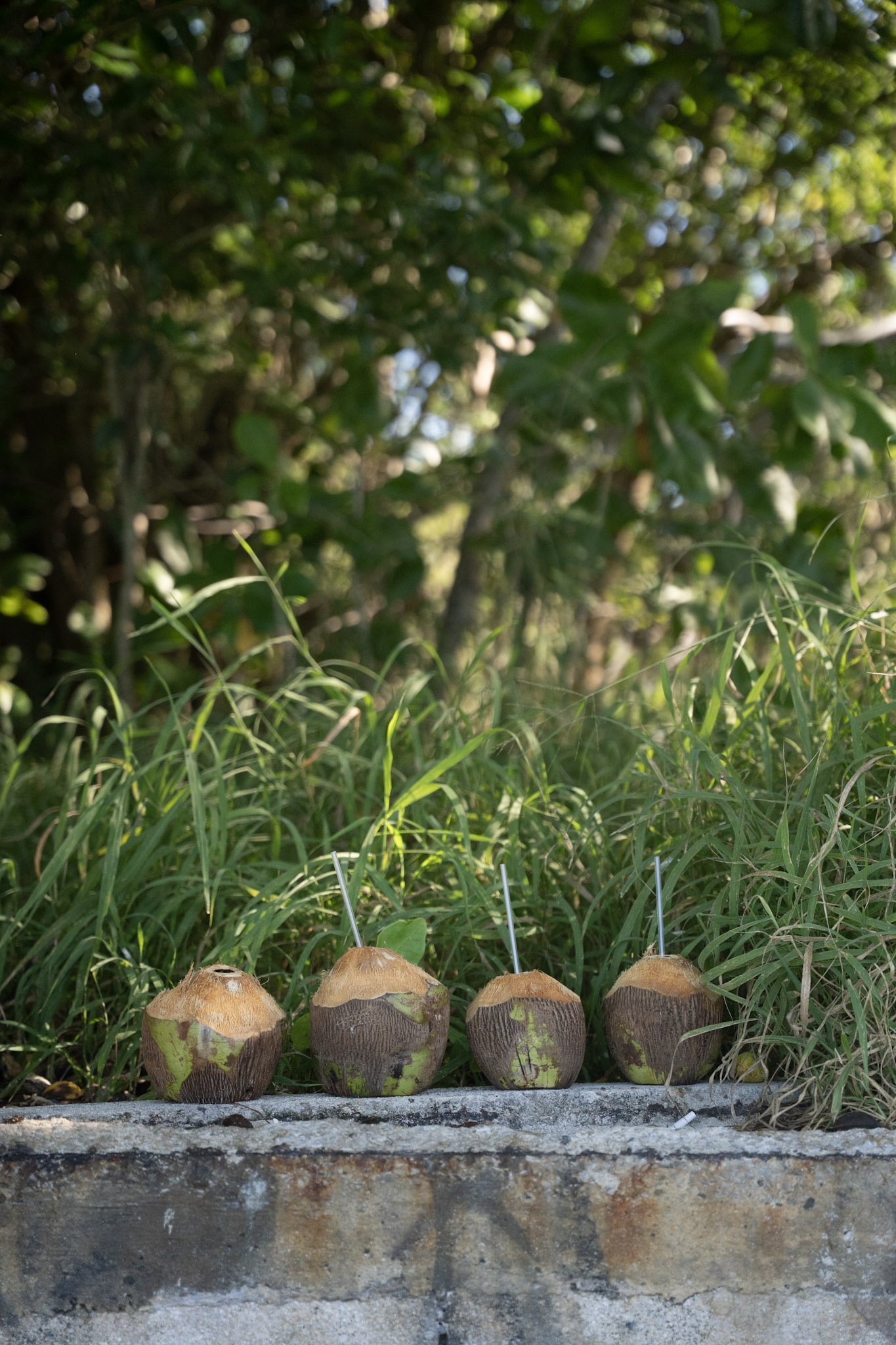 2022-12-29_Buye - foto 58