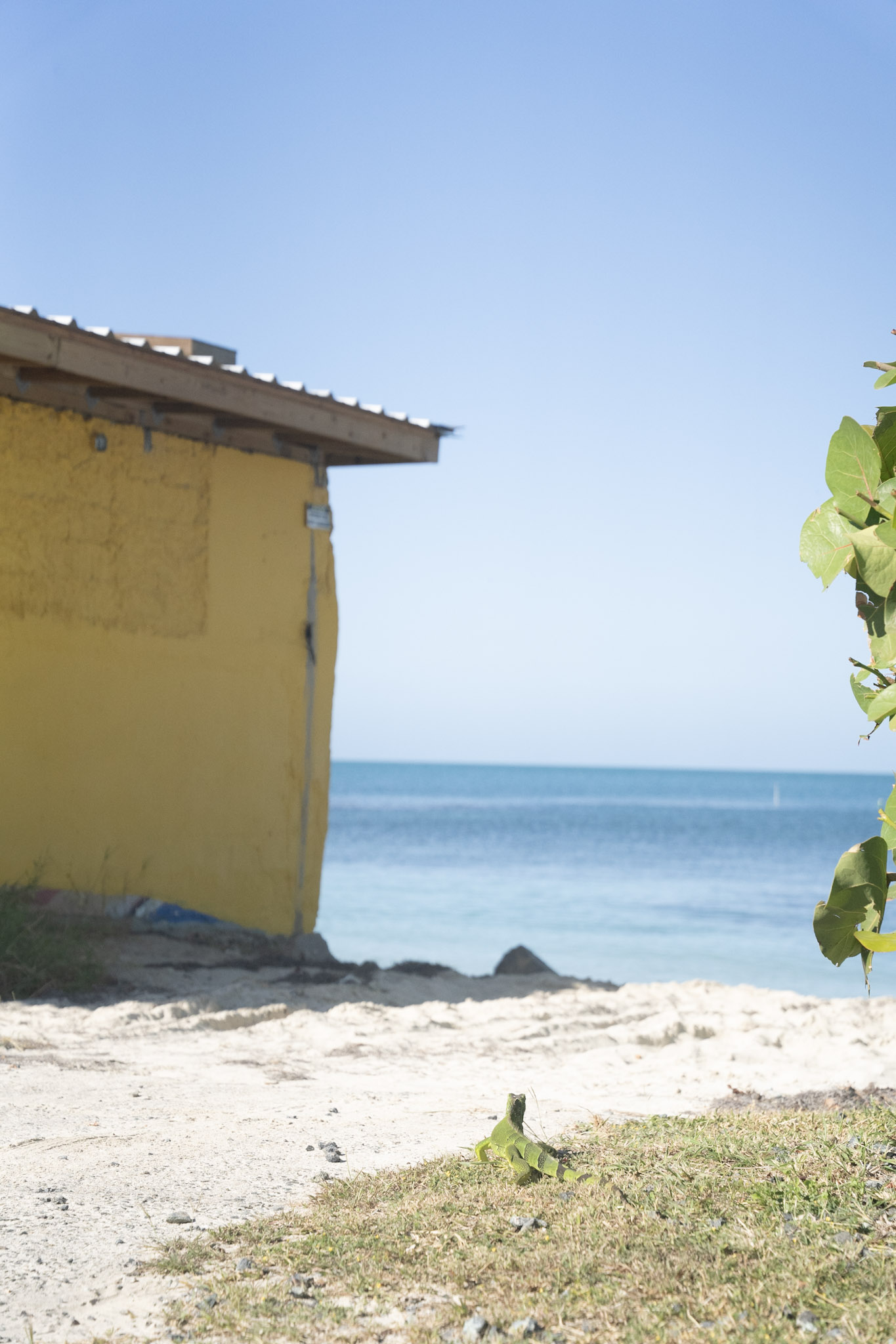 2022-12-29_Buye - foto 84