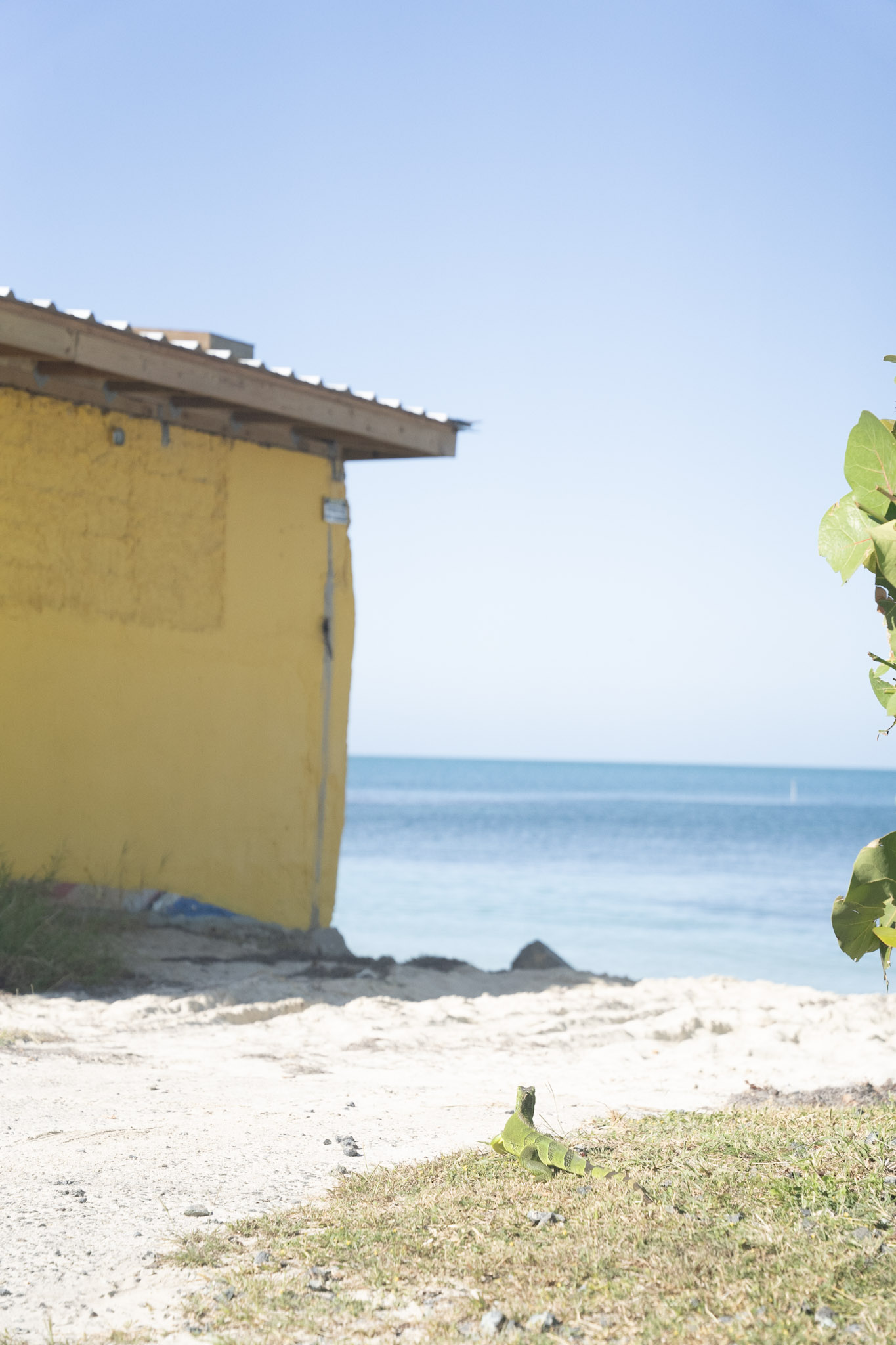 2022-12-29_Buye - foto 85