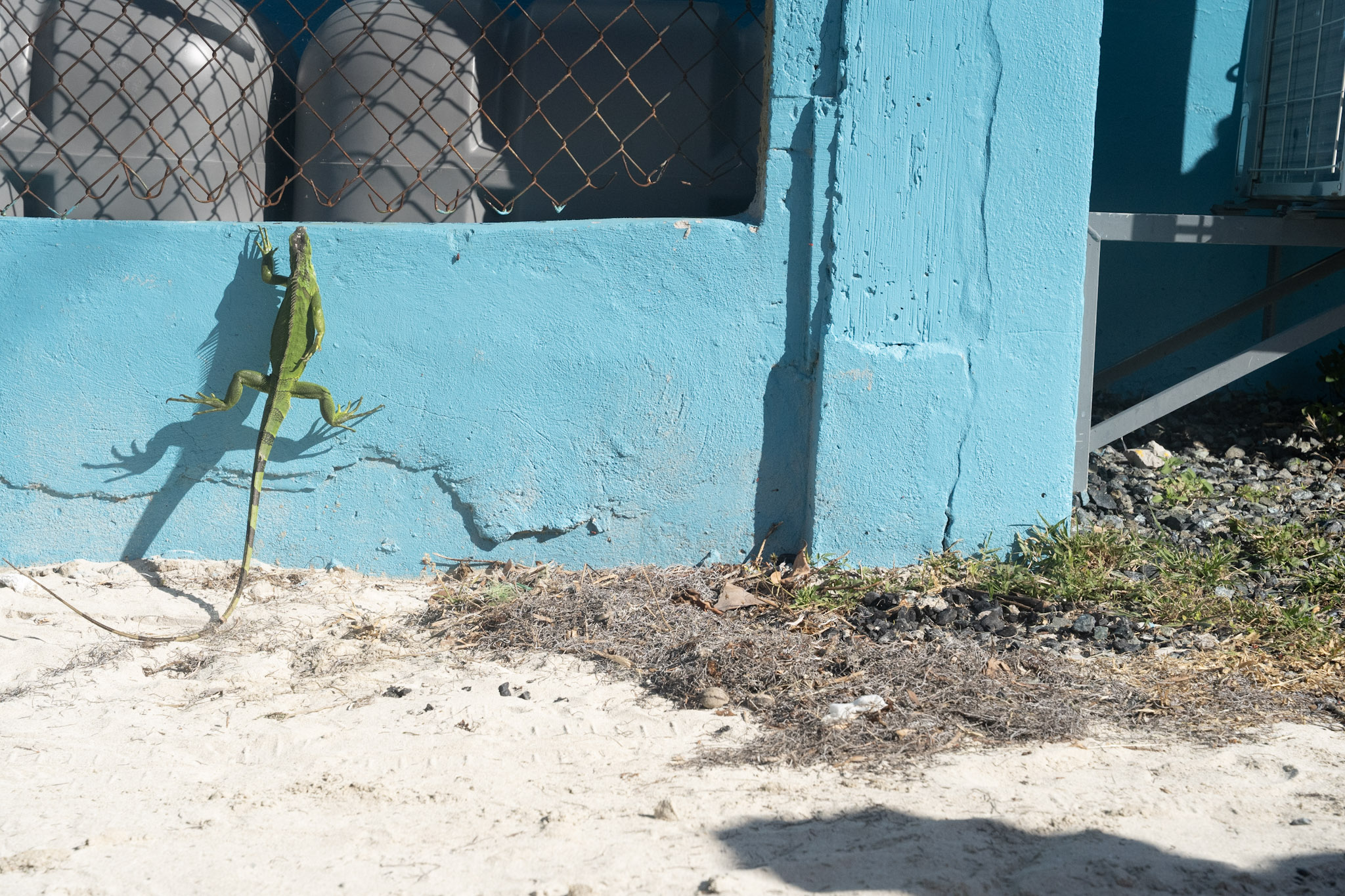 2022-12-29_Buye - foto 86