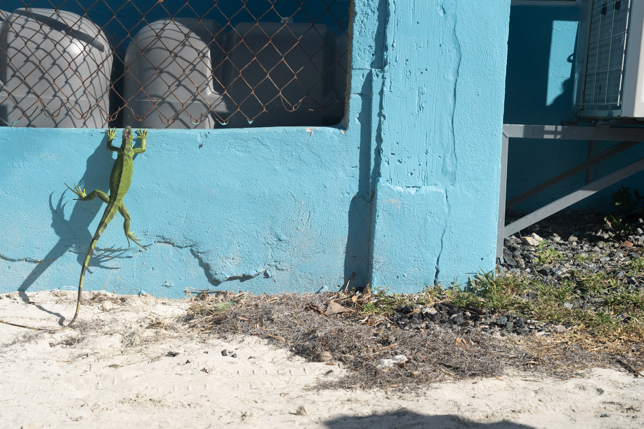 2022-12-29_Buye - foto 87