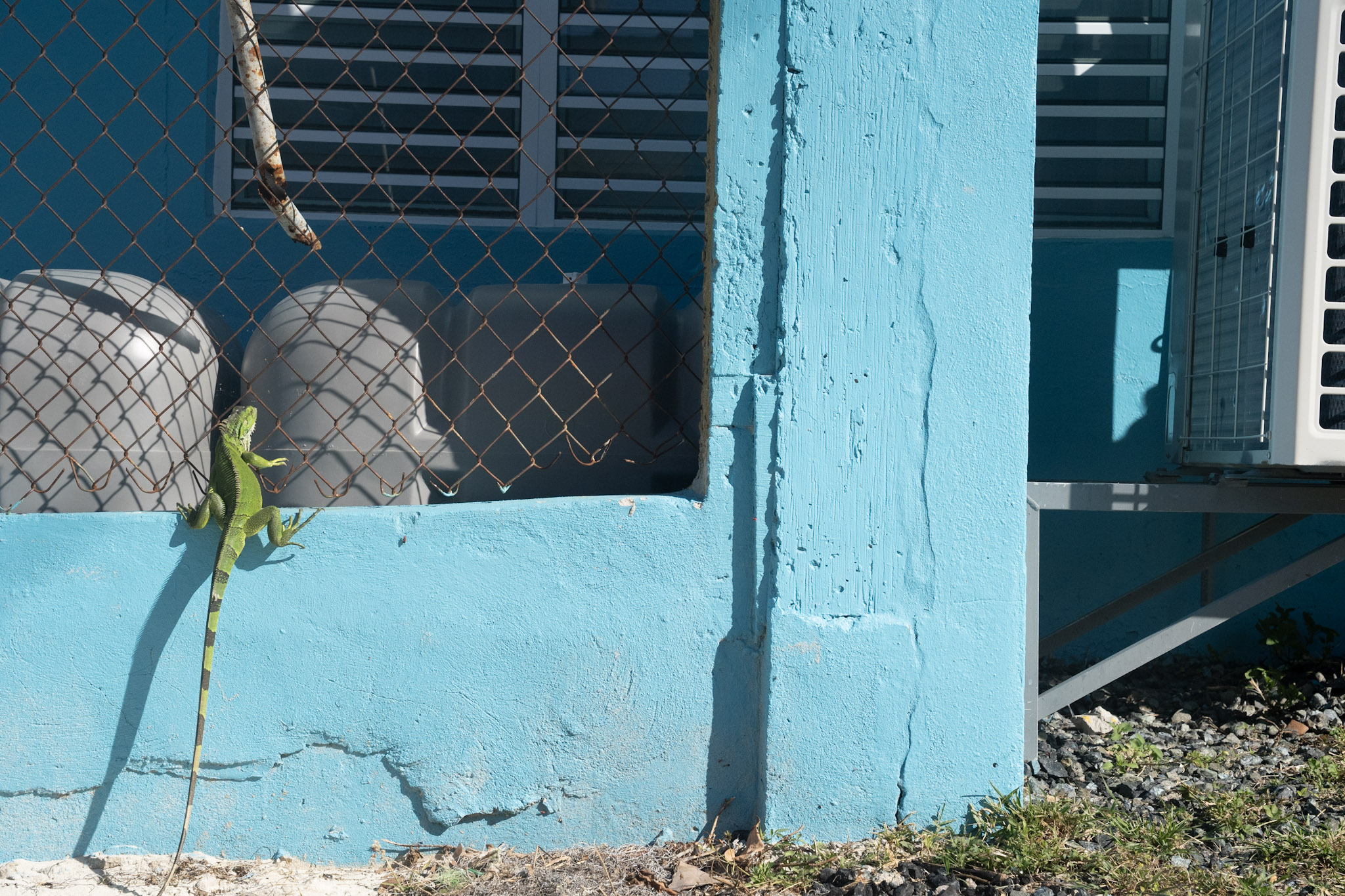 2022-12-29_Buye - foto 88