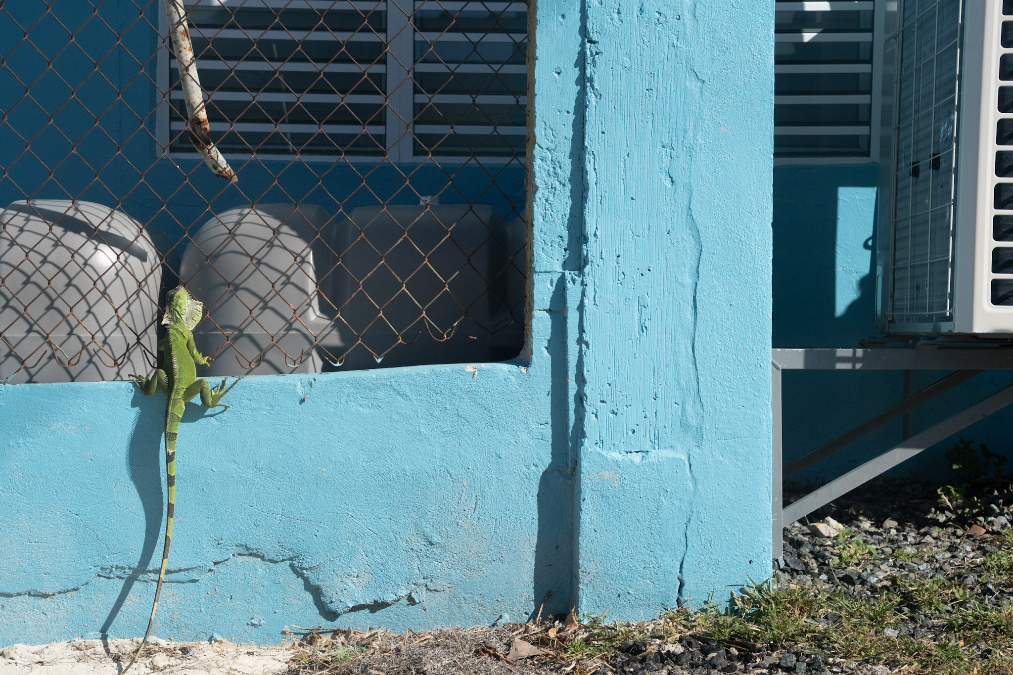 2022-12-29_Buye - foto 89