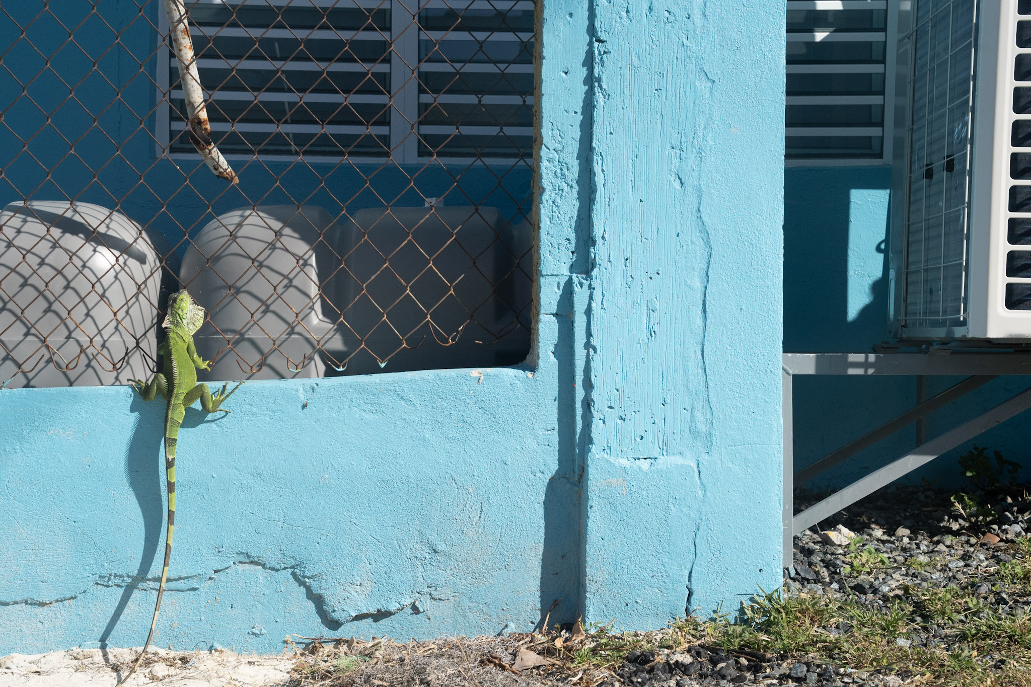 2022-12-29_Buye - foto 90