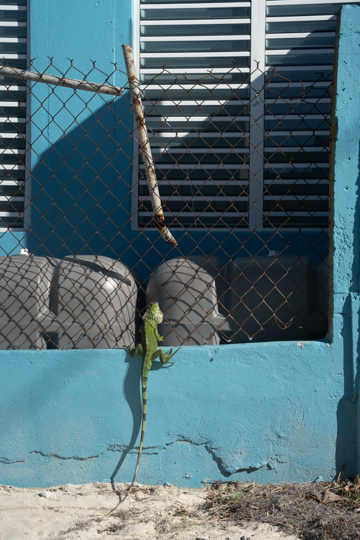 2022-12-29_Buye - foto 91