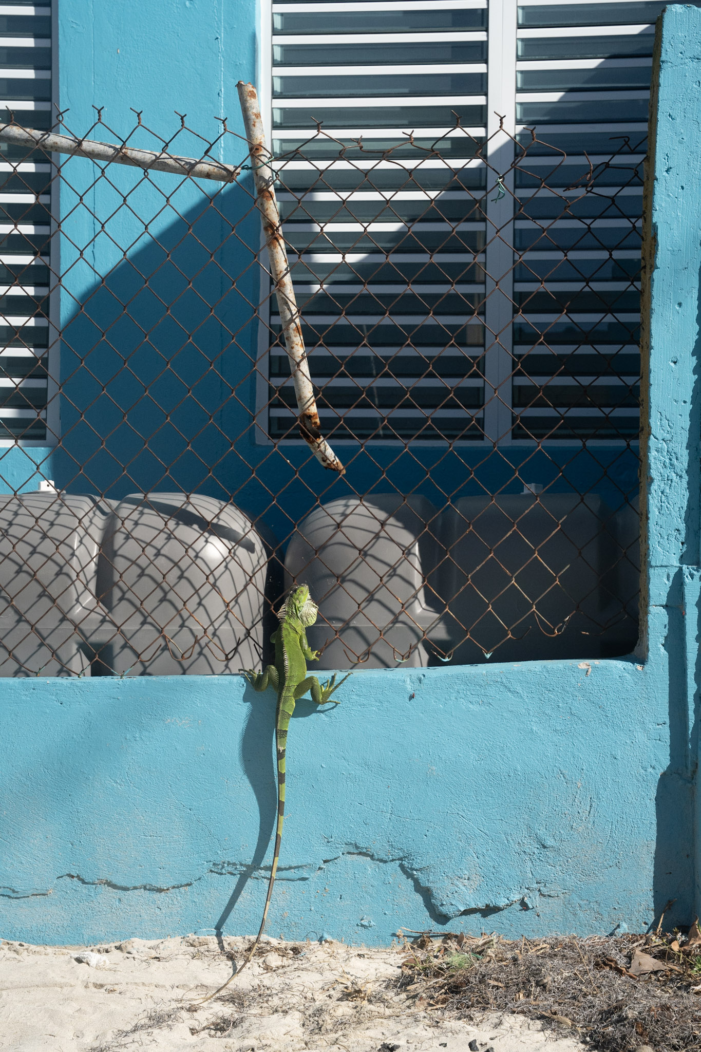 2022-12-29_Buye - foto 92