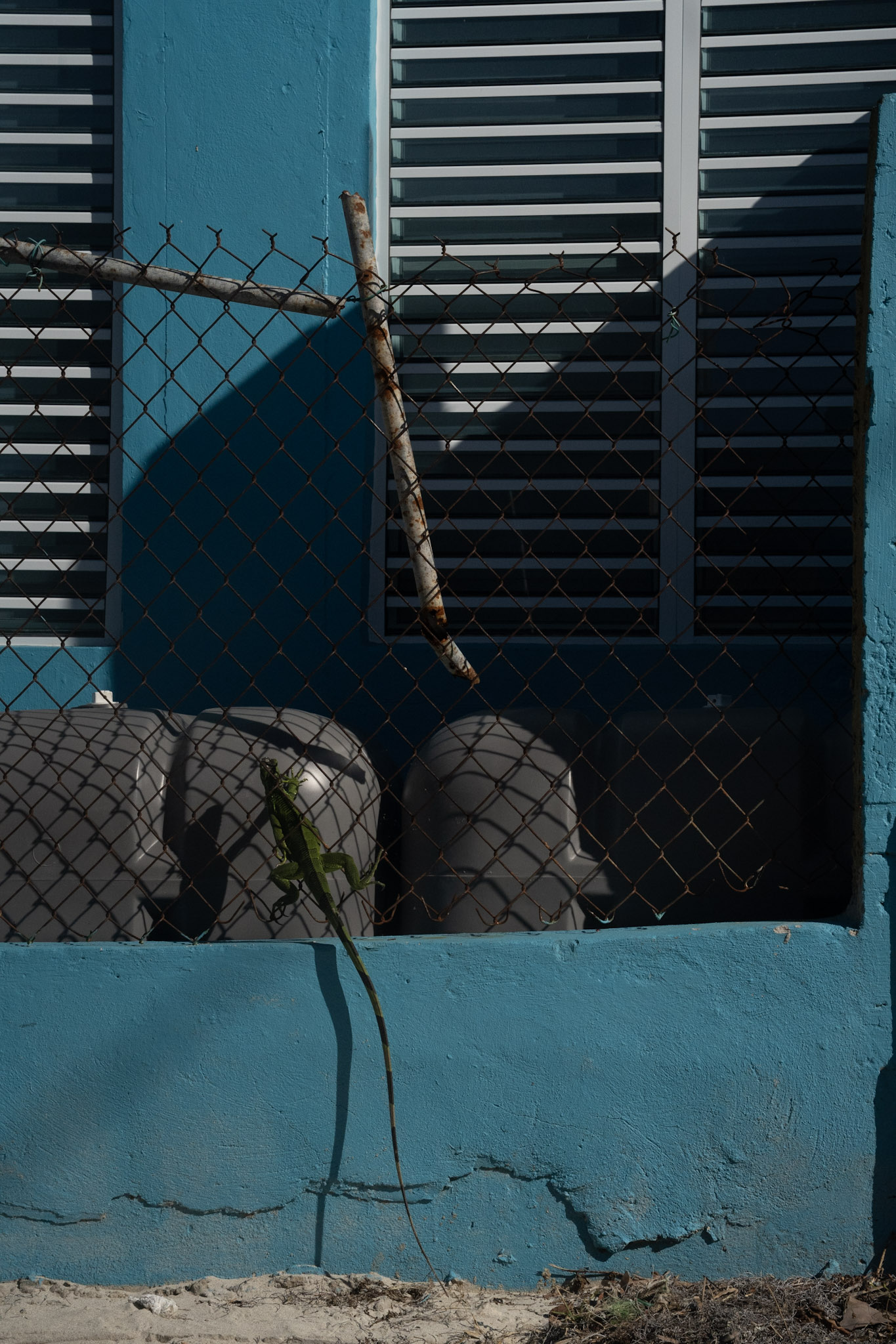 2022-12-29_Buye - foto 93