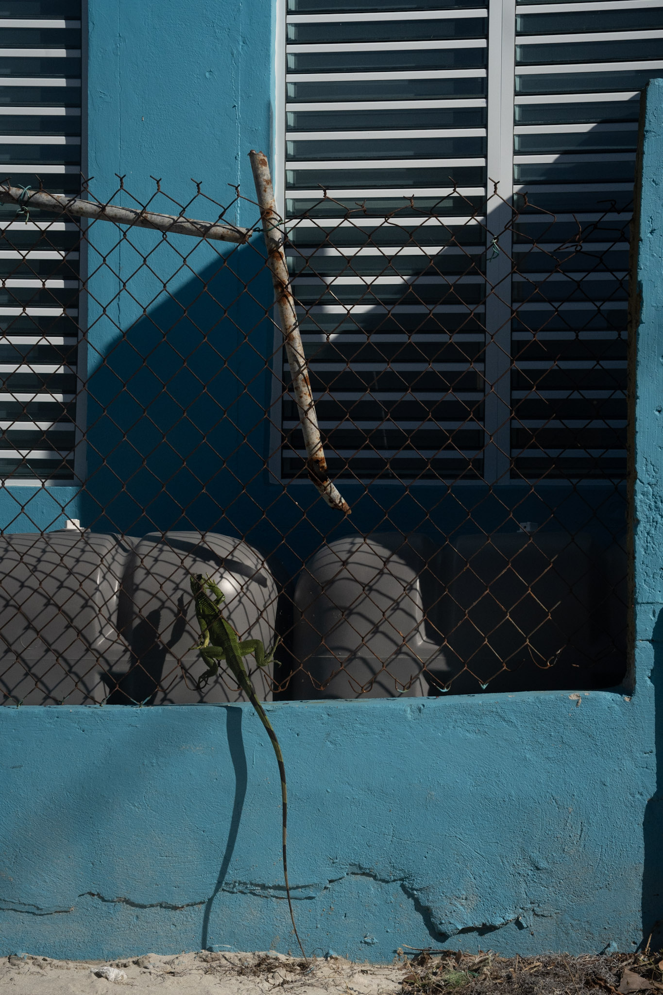 2022-12-29_Buye - foto 94