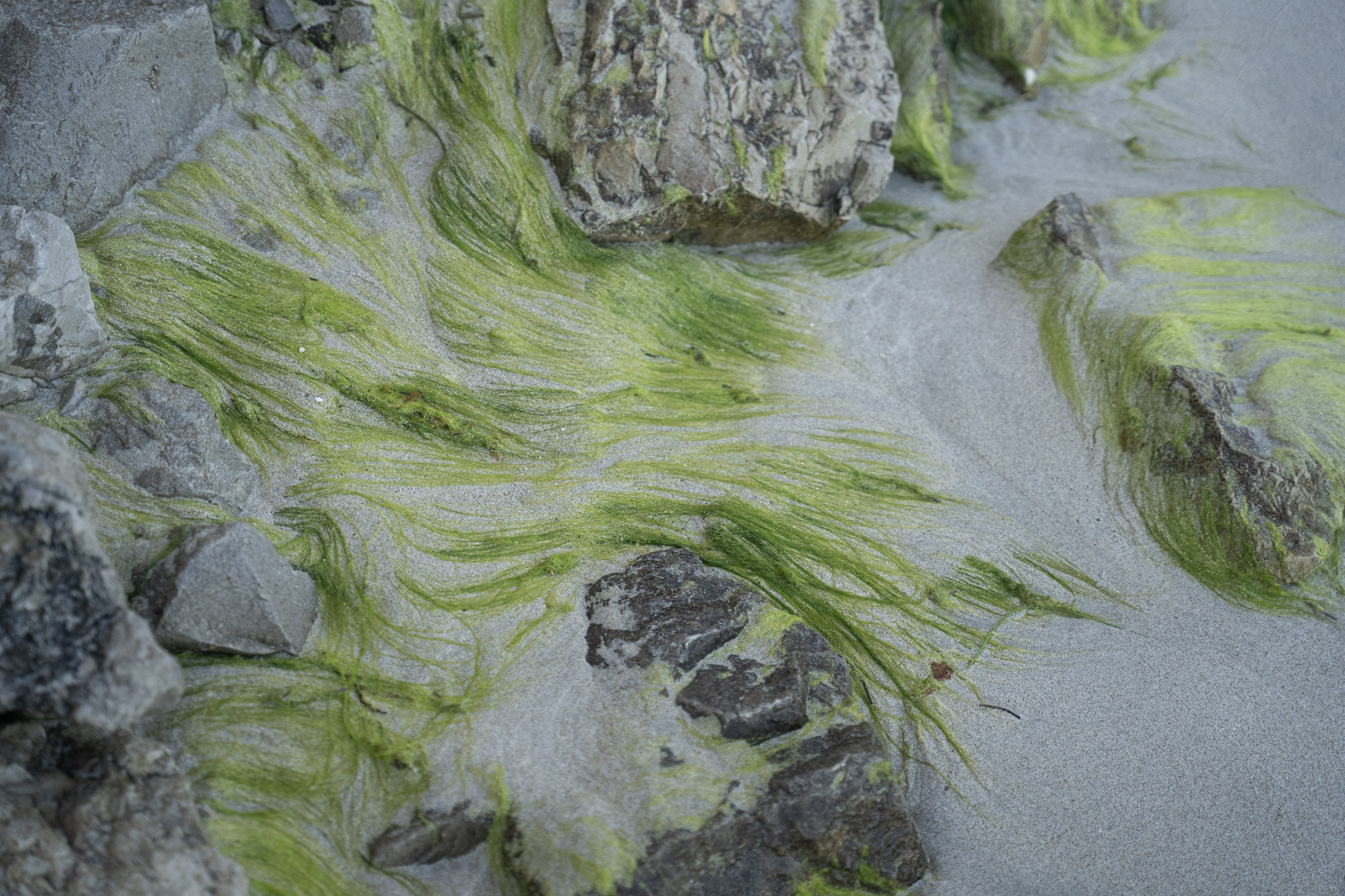 2022-12-29_Buye - foto 126