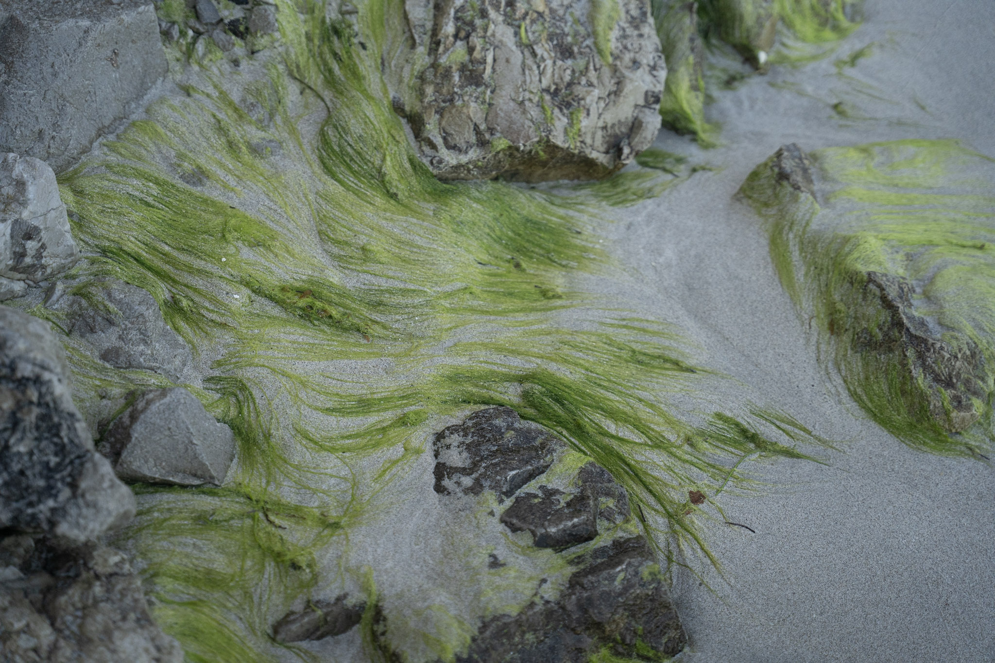 2022-12-29_Buye - foto 127