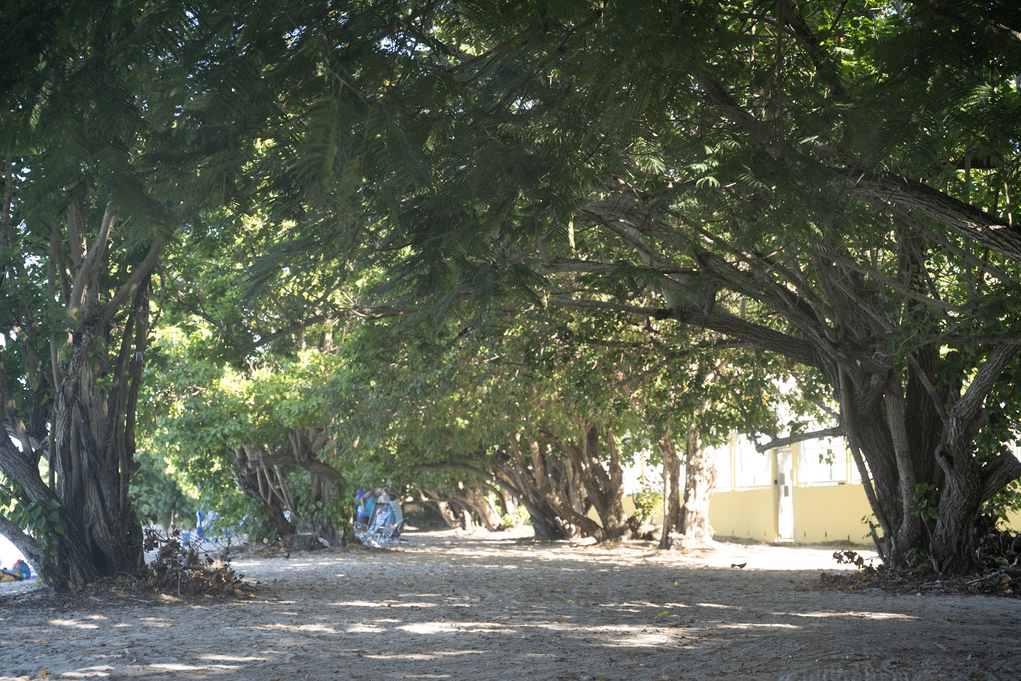 Buye - foto 24