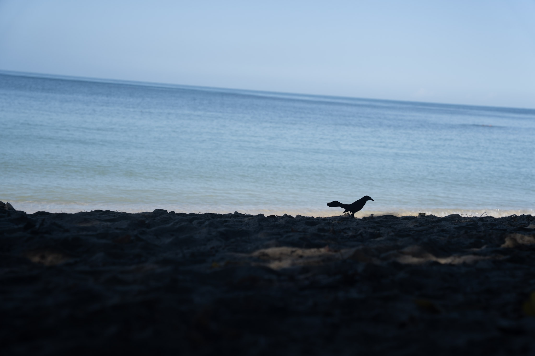 Buye - foto 47