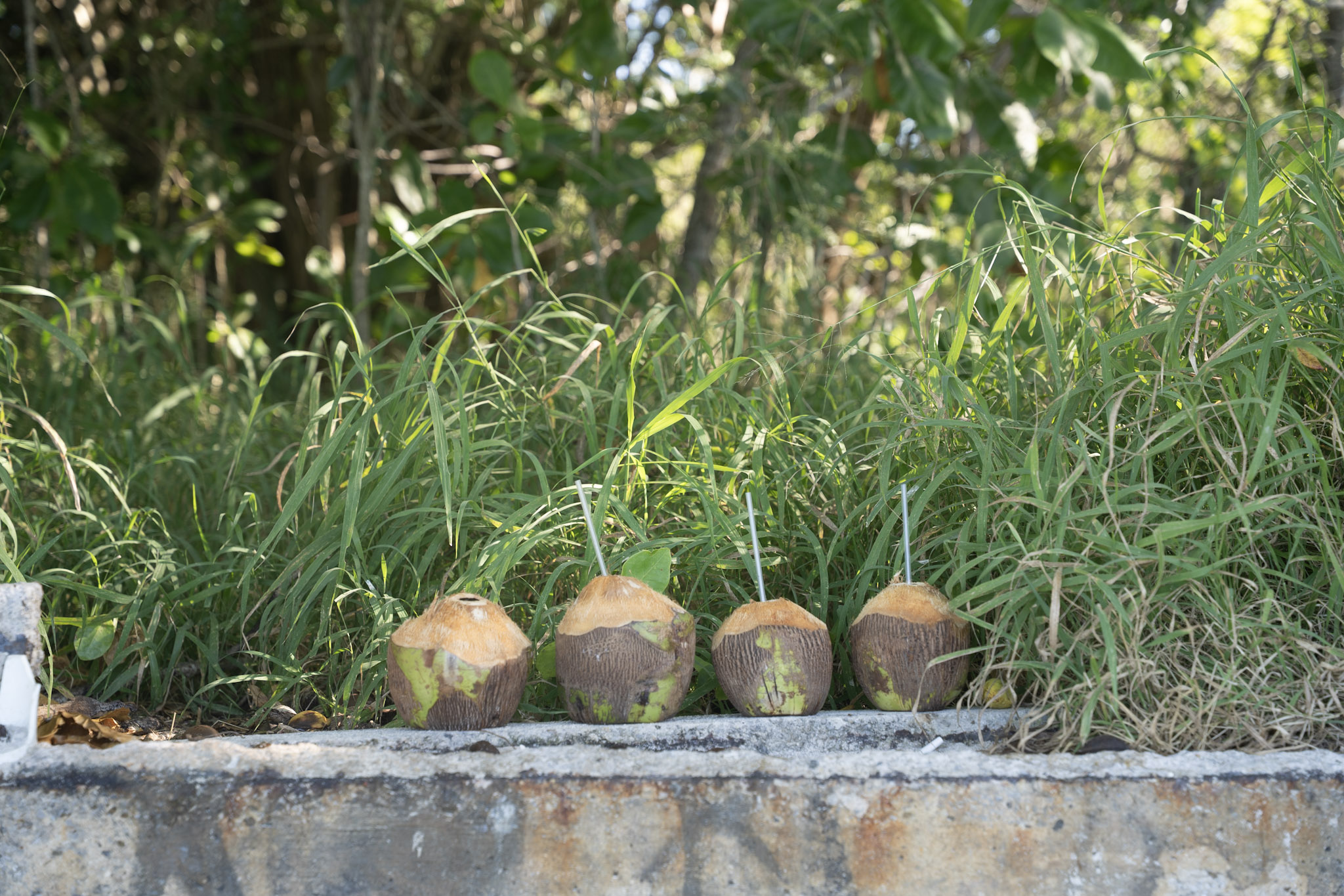 Buye - foto 56