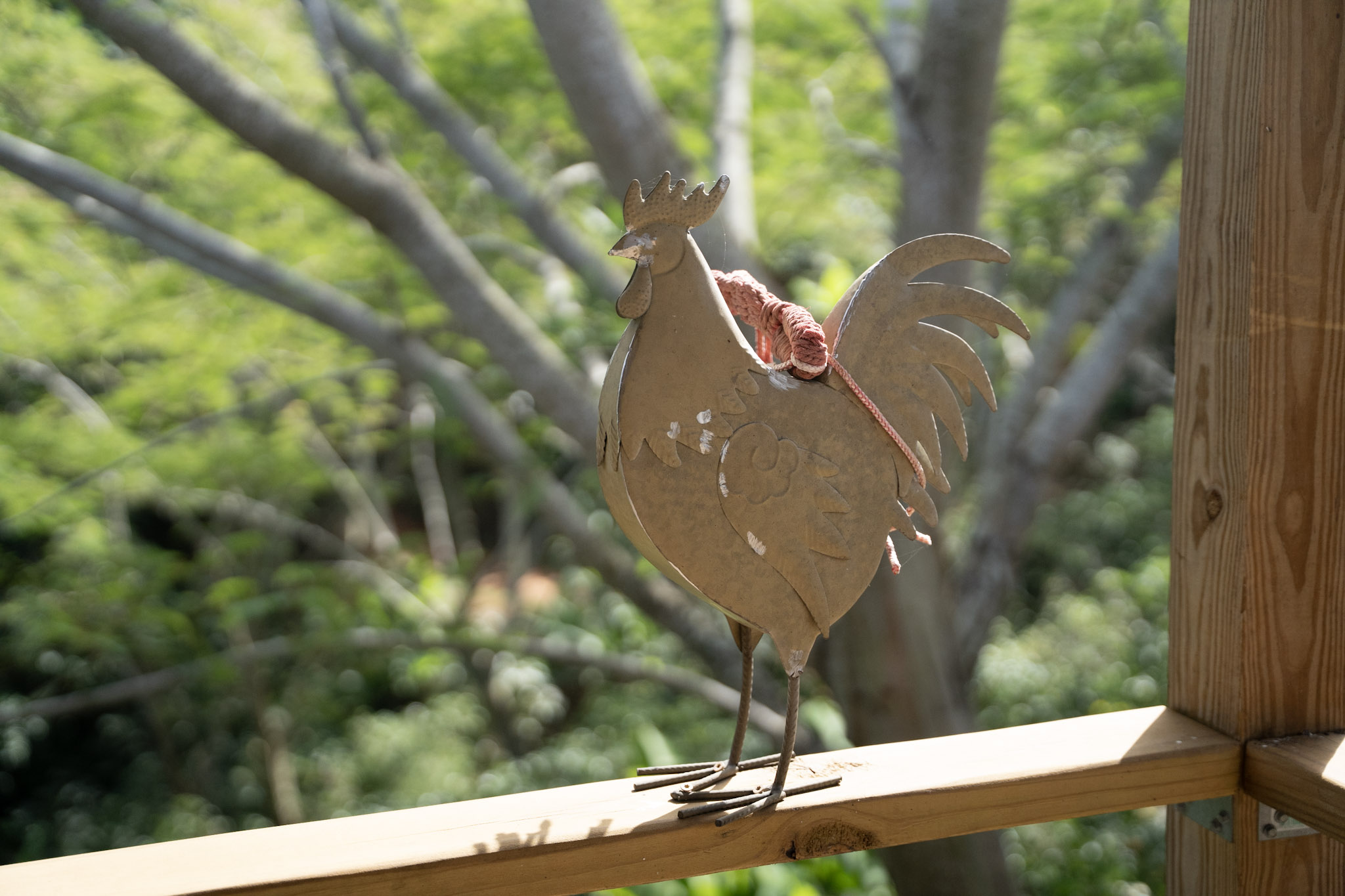 2022-12-29_Cafe_Mis_Abuelos - foto 3