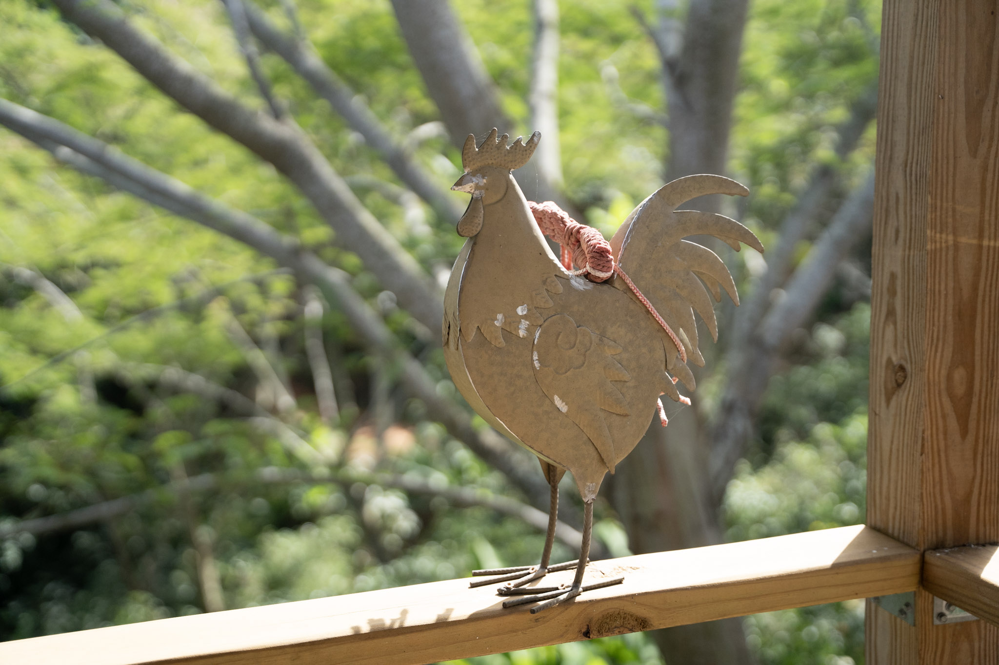 2022-12-29_Cafe_Mis_Abuelos - foto 4