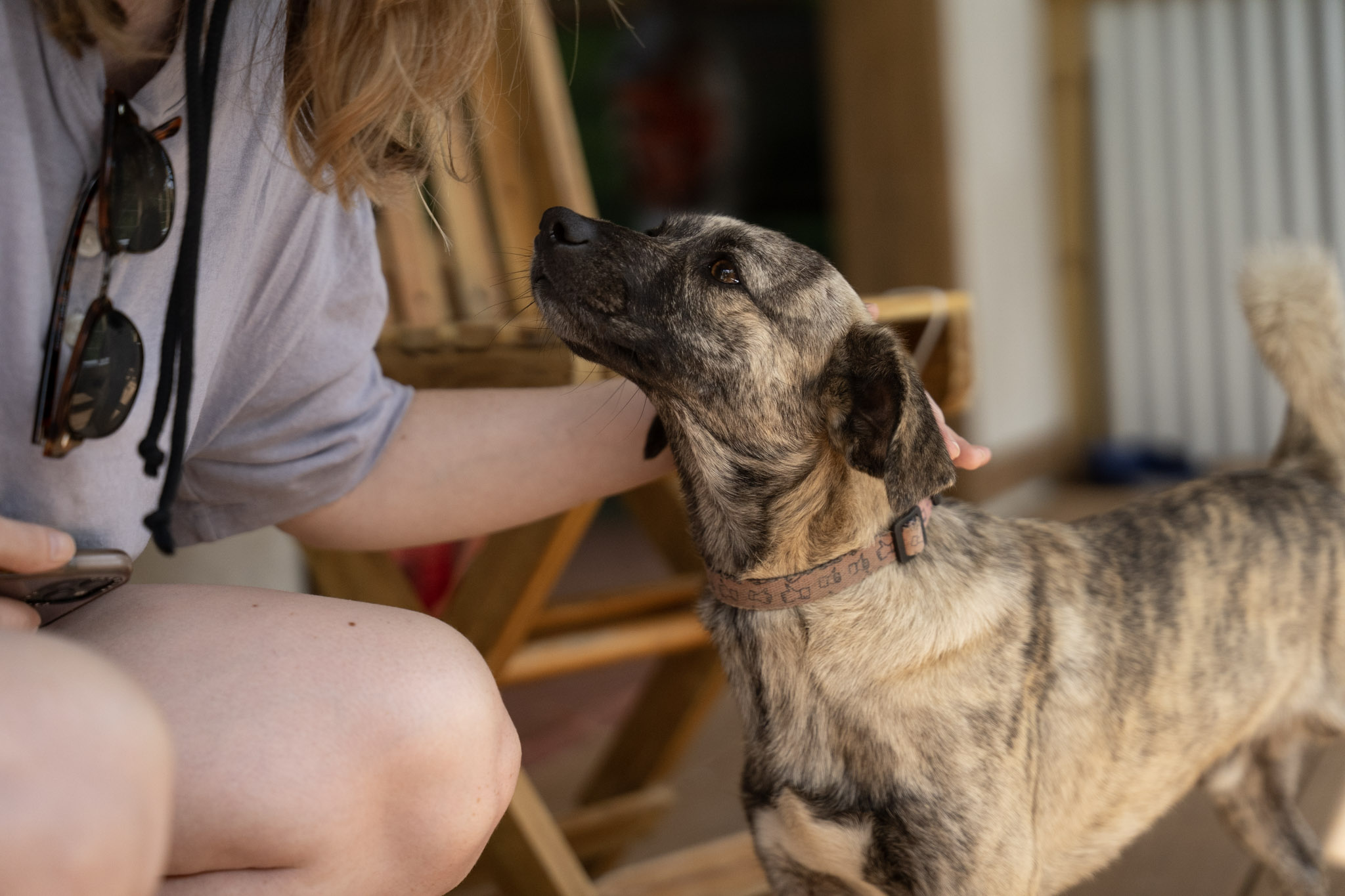 2022-12-29_Cafe_Mis_Abuelos - foto 8