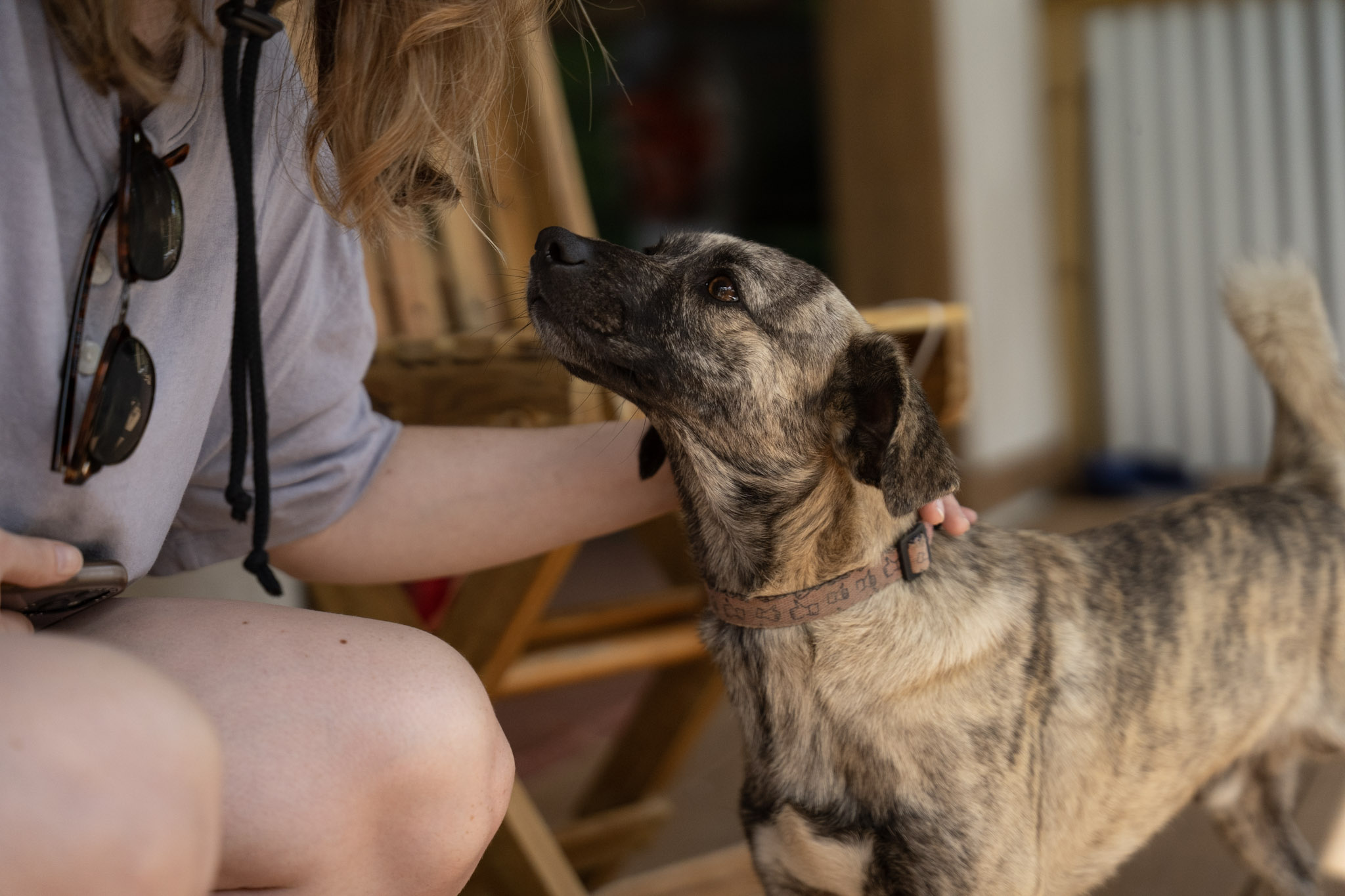 2022-12-29_Cafe_Mis_Abuelos - foto 9