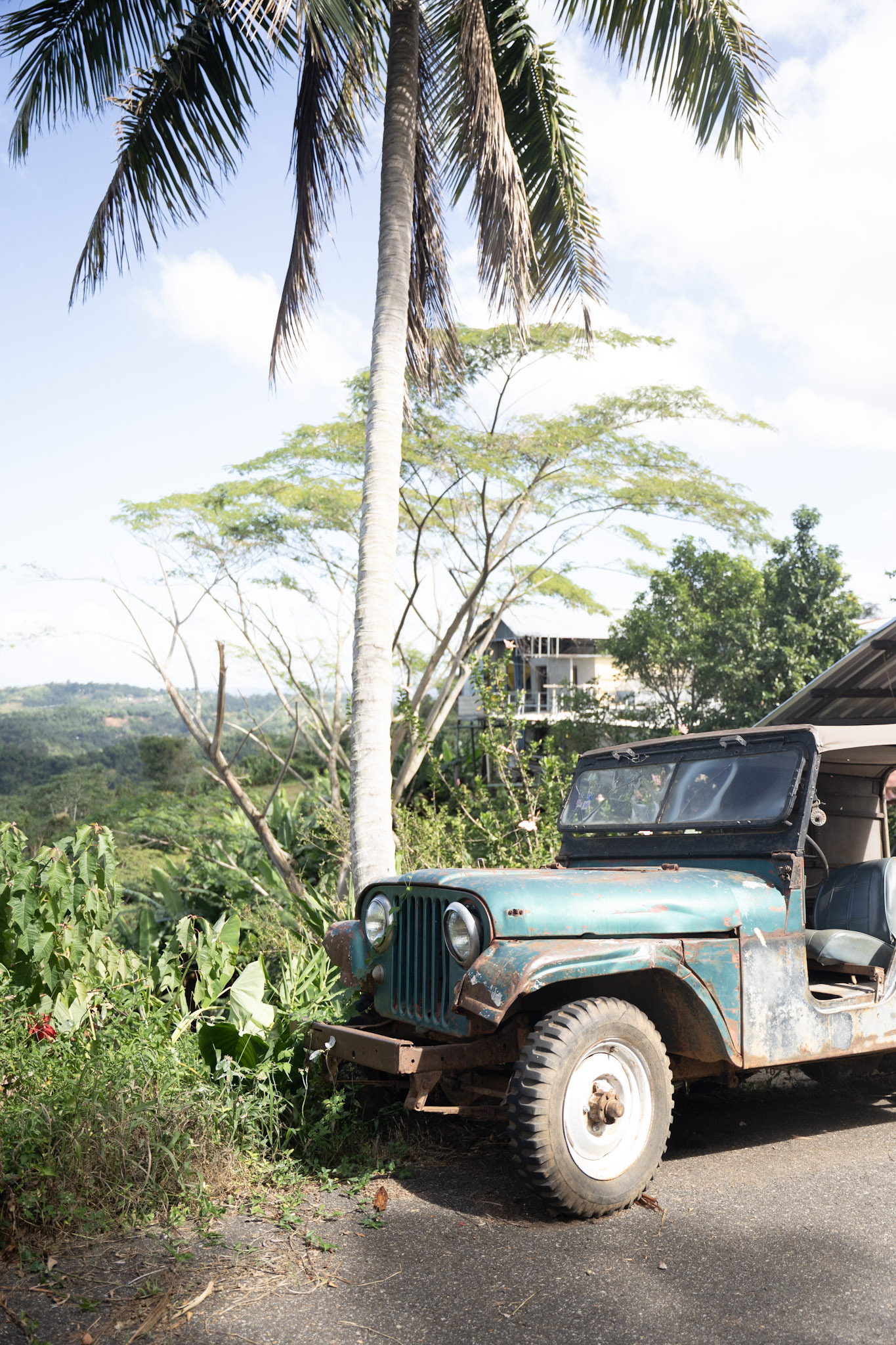 2022-12-29_Cafe_Mis_Abuelos - foto 19