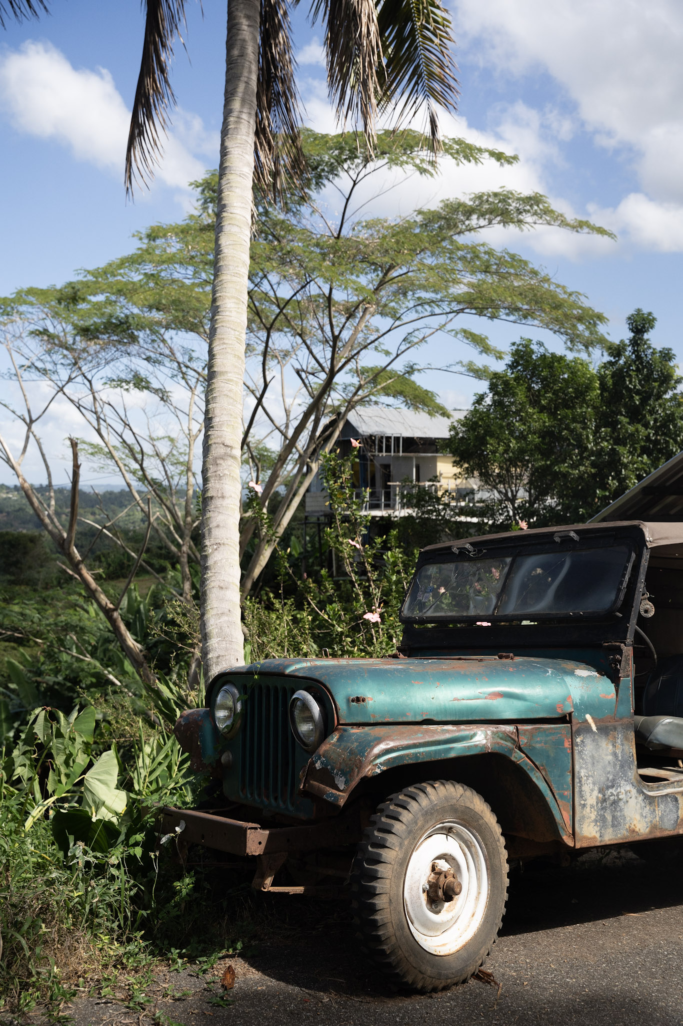 2022-12-29_Cafe_Mis_Abuelos - foto 20