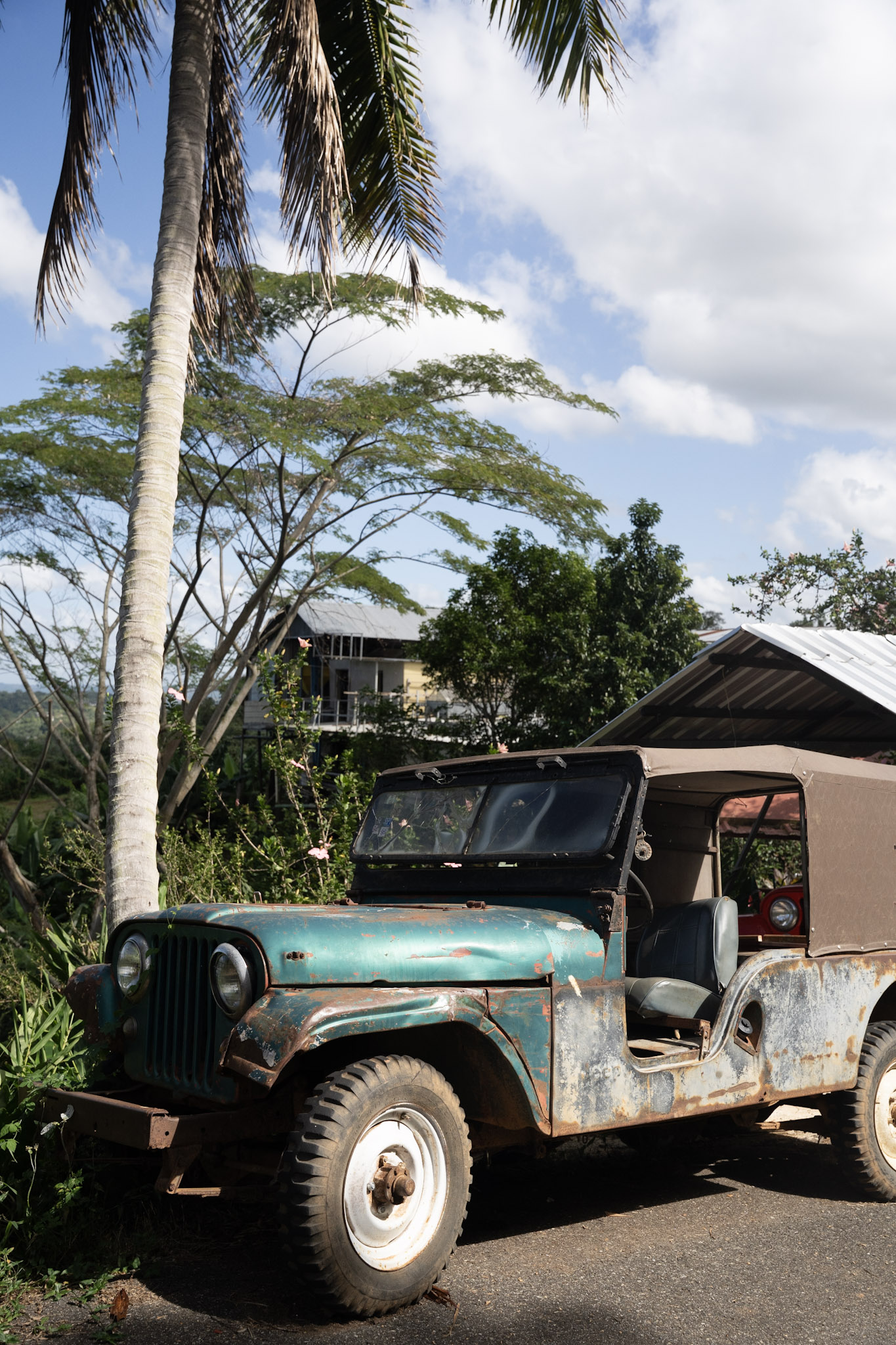 2022-12-29_Cafe_Mis_Abuelos - foto 21