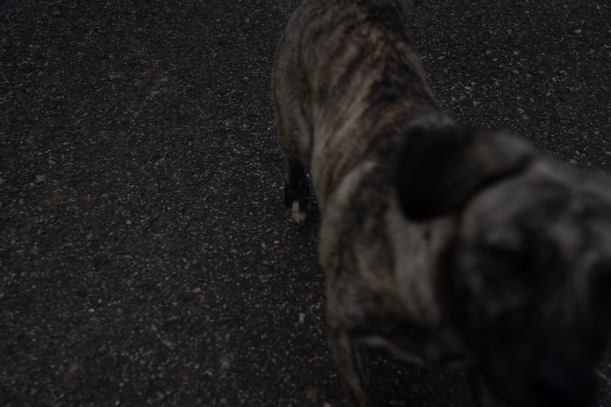 2022-12-29_Cafe_Mis_Abuelos - foto 22