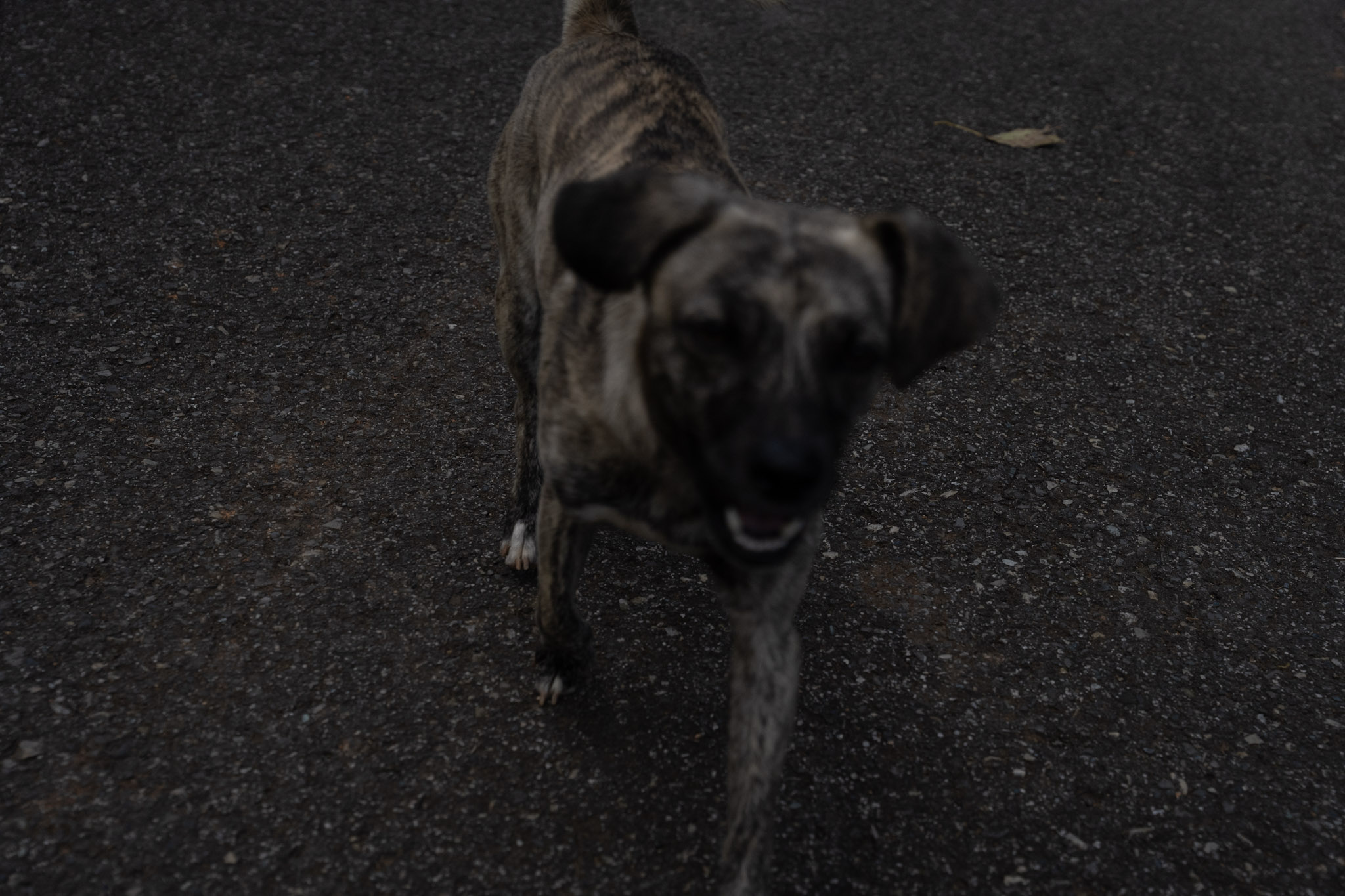 2022-12-29_Cafe_Mis_Abuelos - foto 23