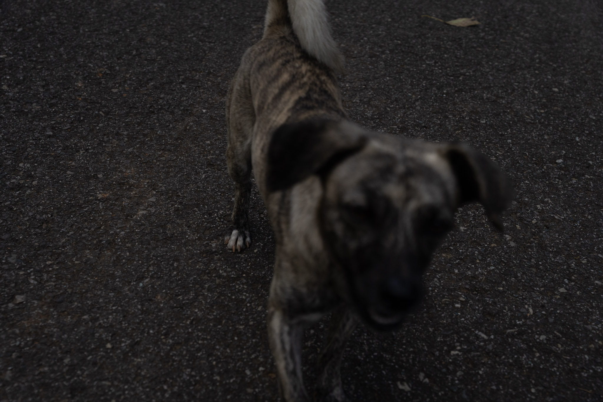 2022-12-29_Cafe_Mis_Abuelos - foto 24