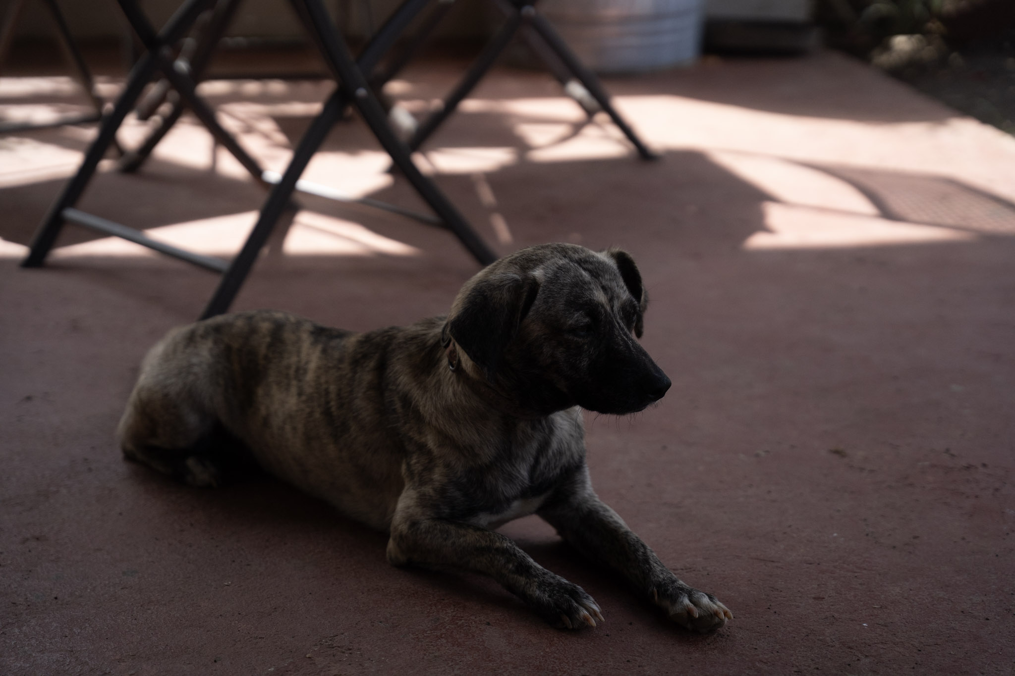 2022-12-29_Cafe_Mis_Abuelos - foto 25