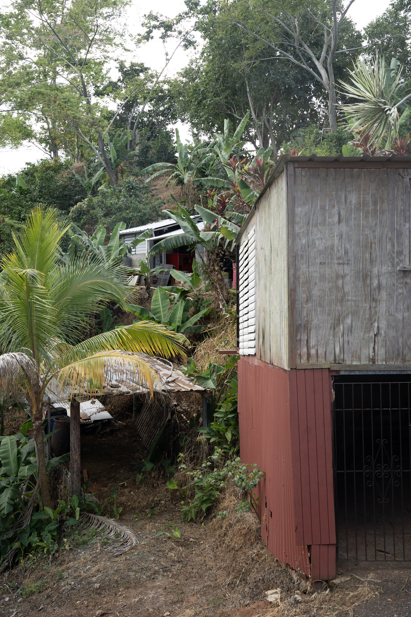 2022-12-29_Cafe_Mis_Abuelos - foto 37